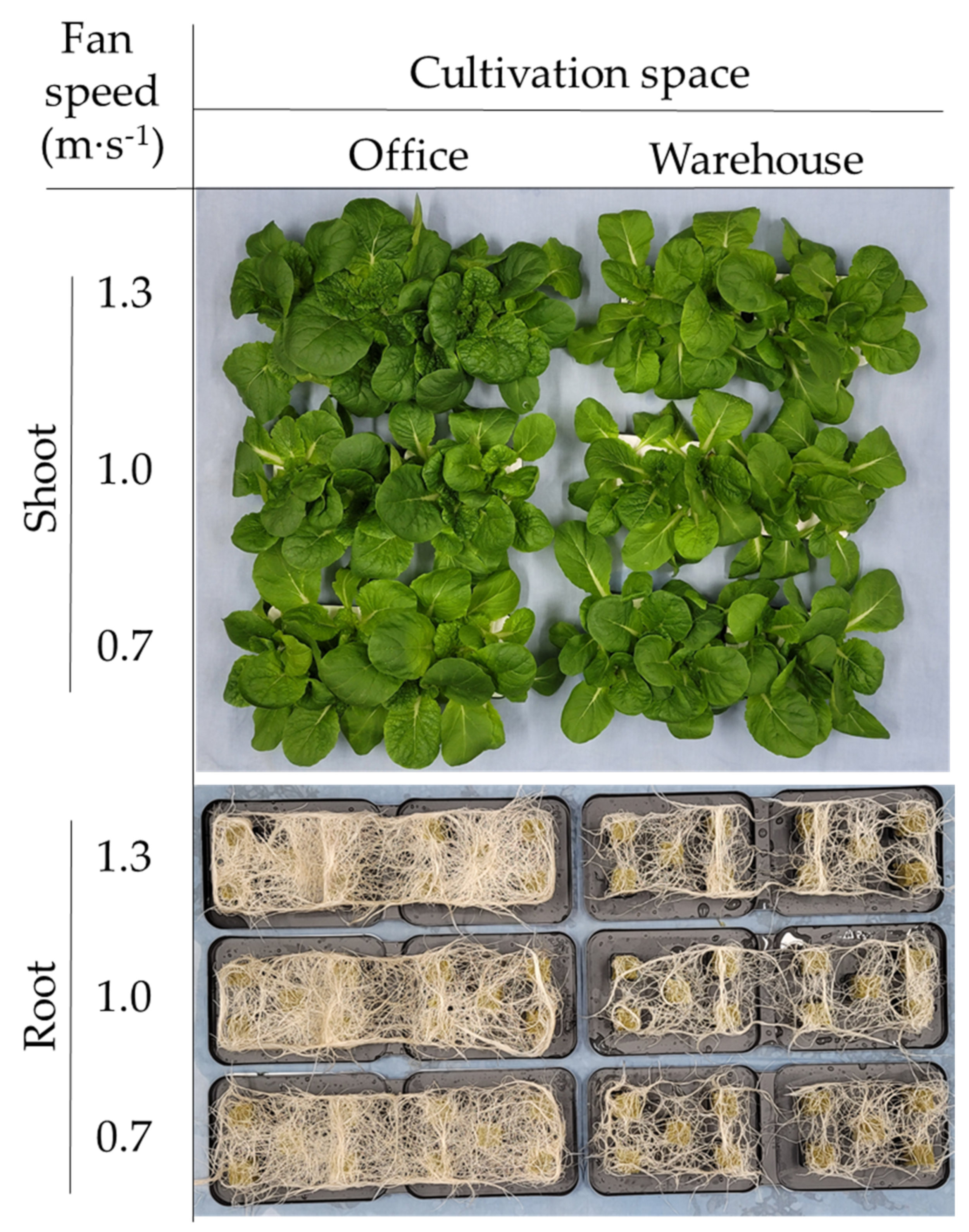 Sustainability 13 13288 g007