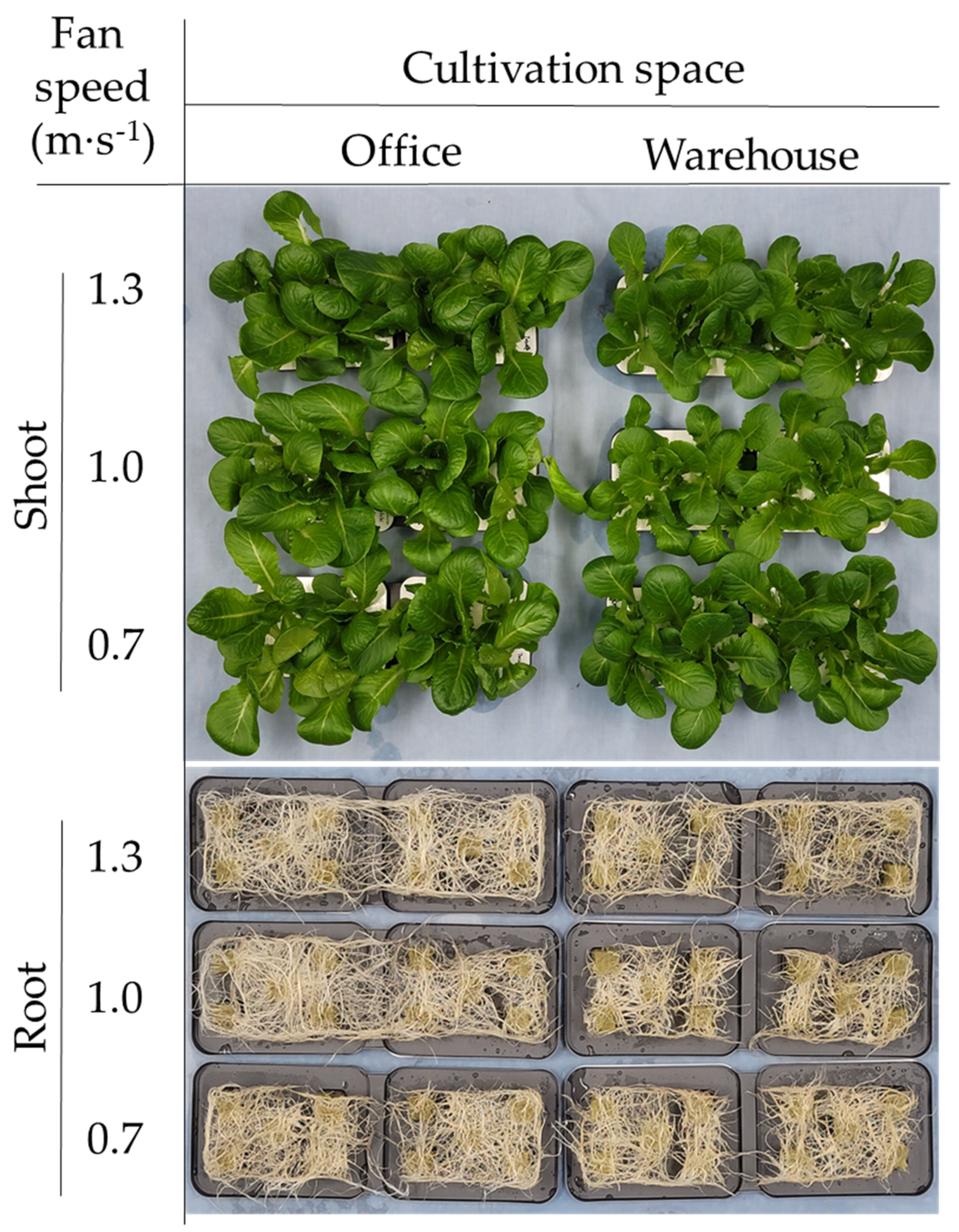Sustainability 13 13288 g008
