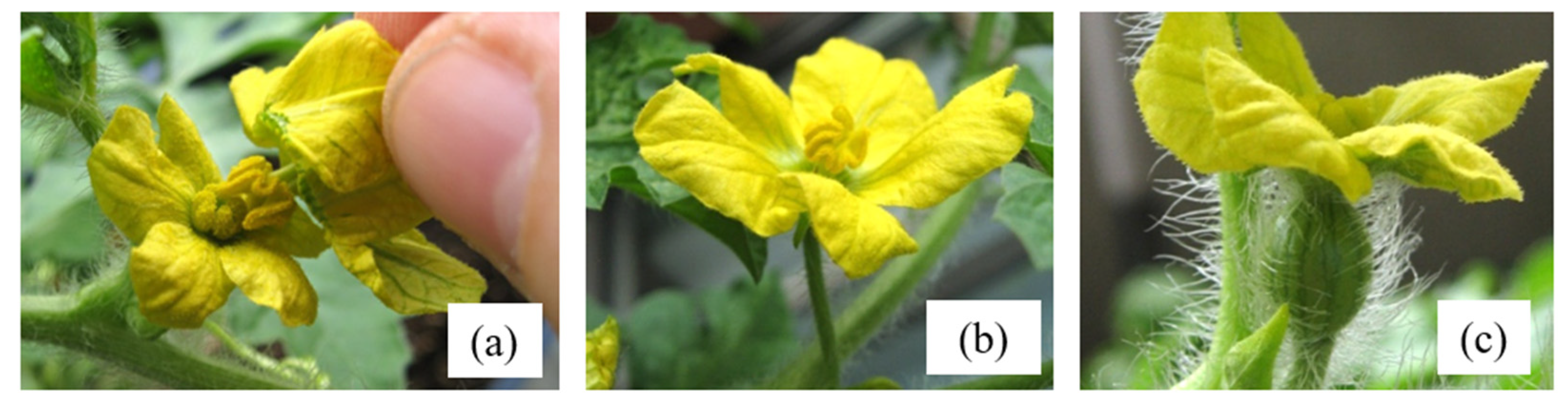 Sustainability 13 13300 g001