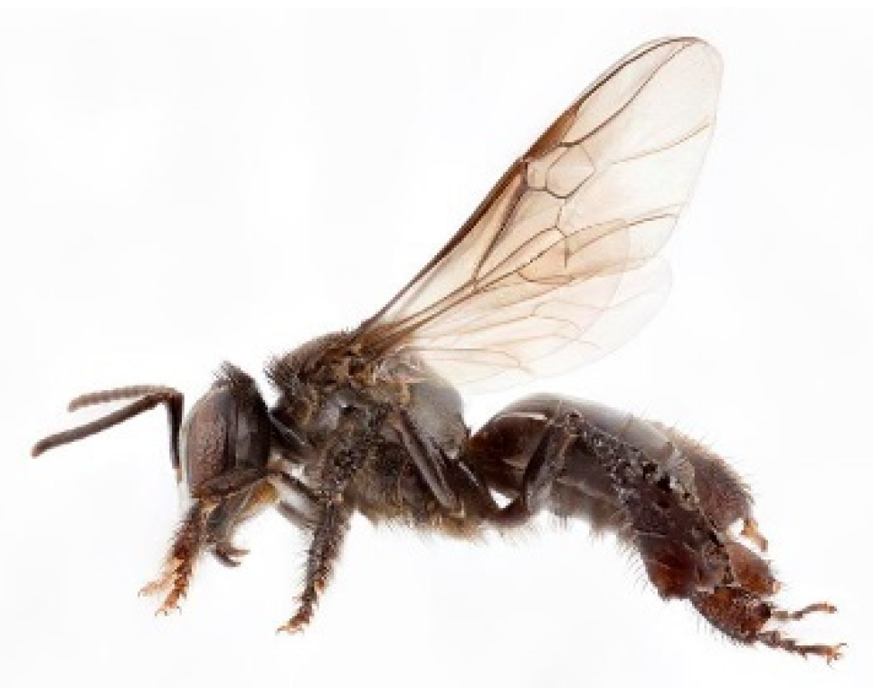 Sustainability 13 13300 g002