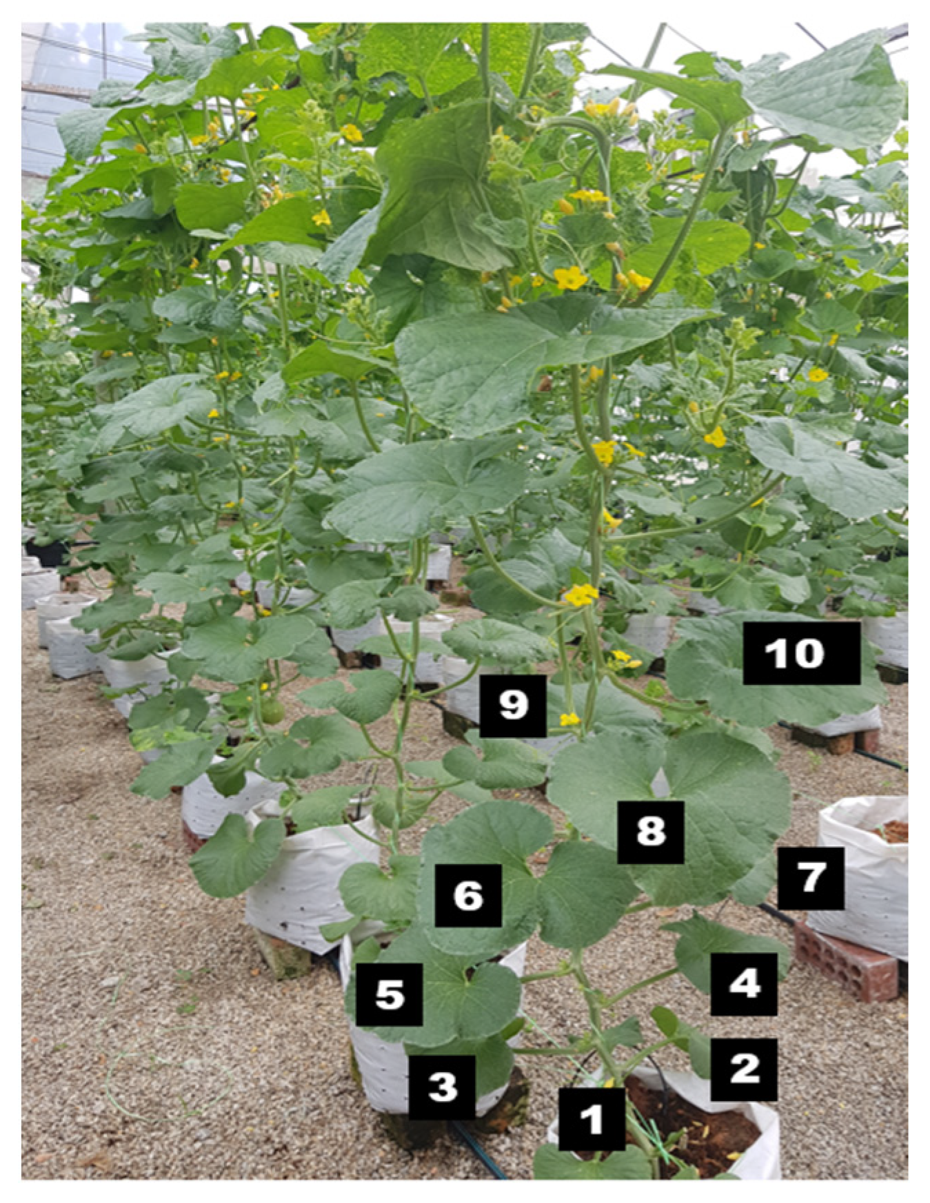 Sustainability 13 13300 g003