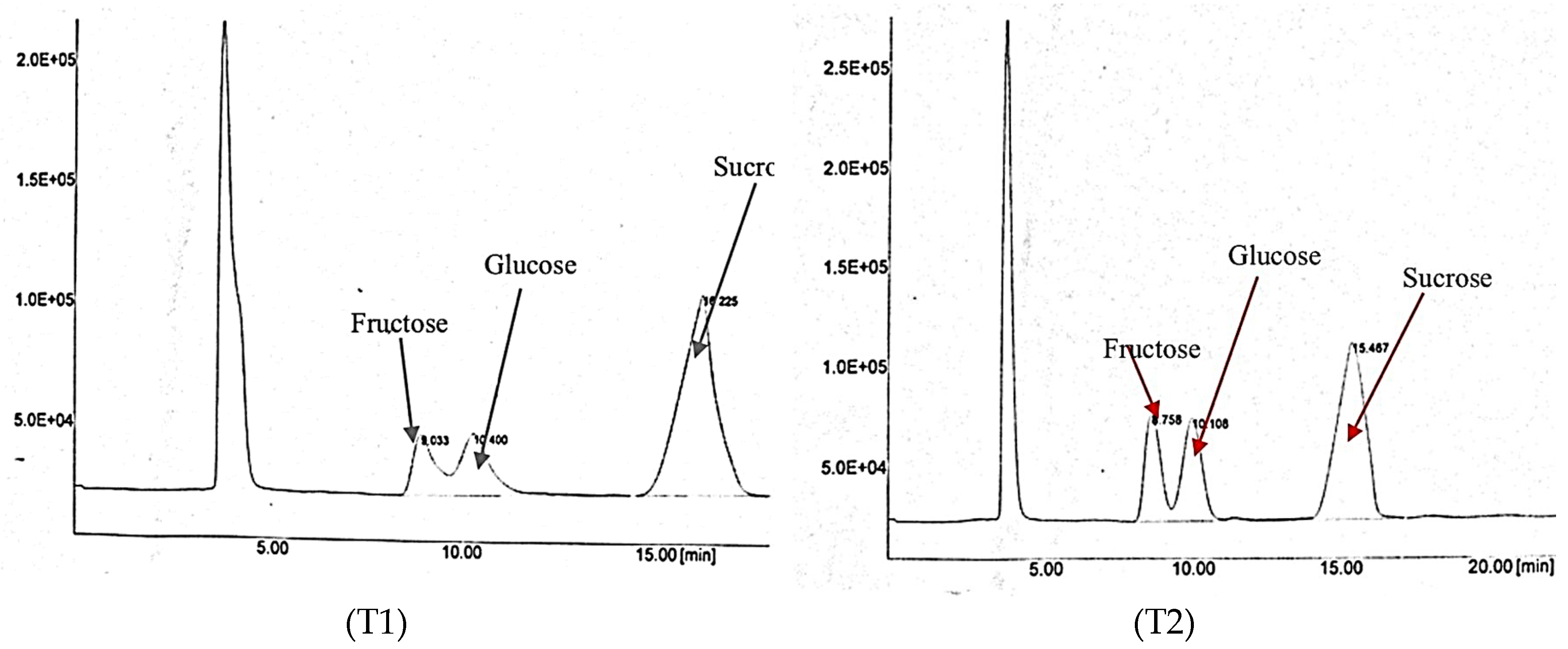 Sustainability 13 13300 g006