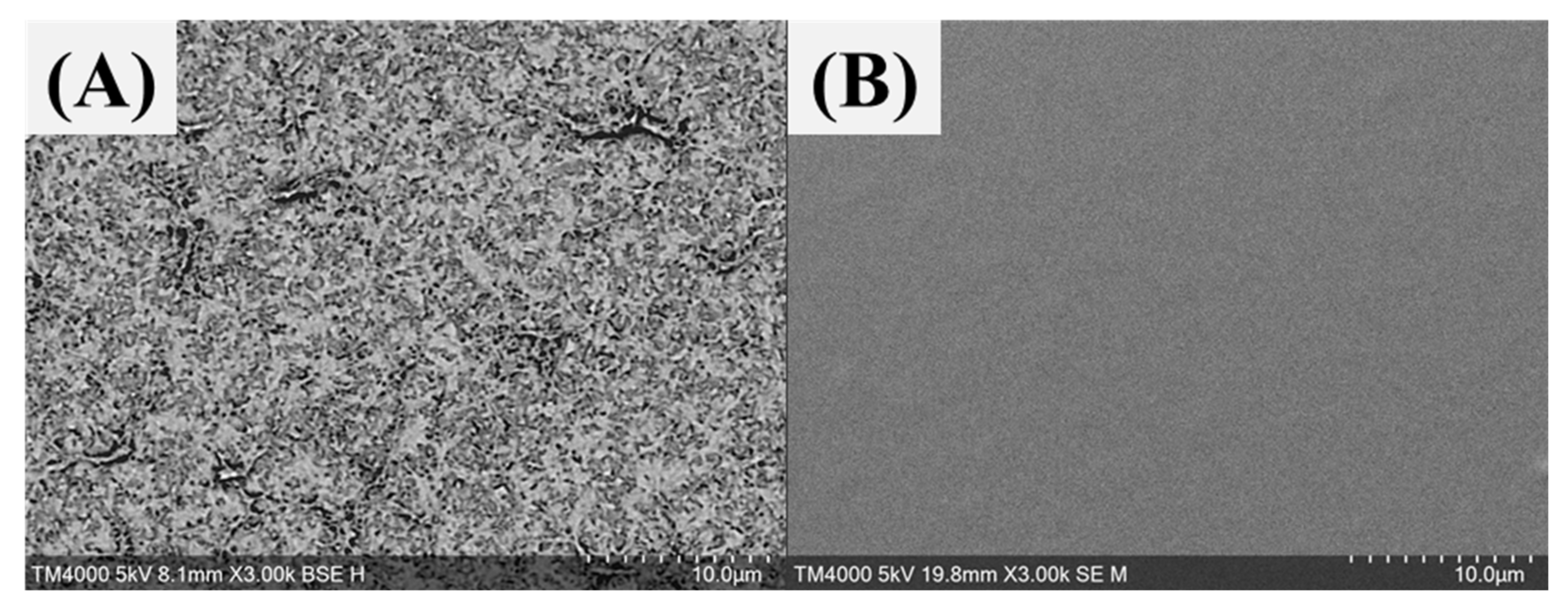 Sustainability 13 13367 g013