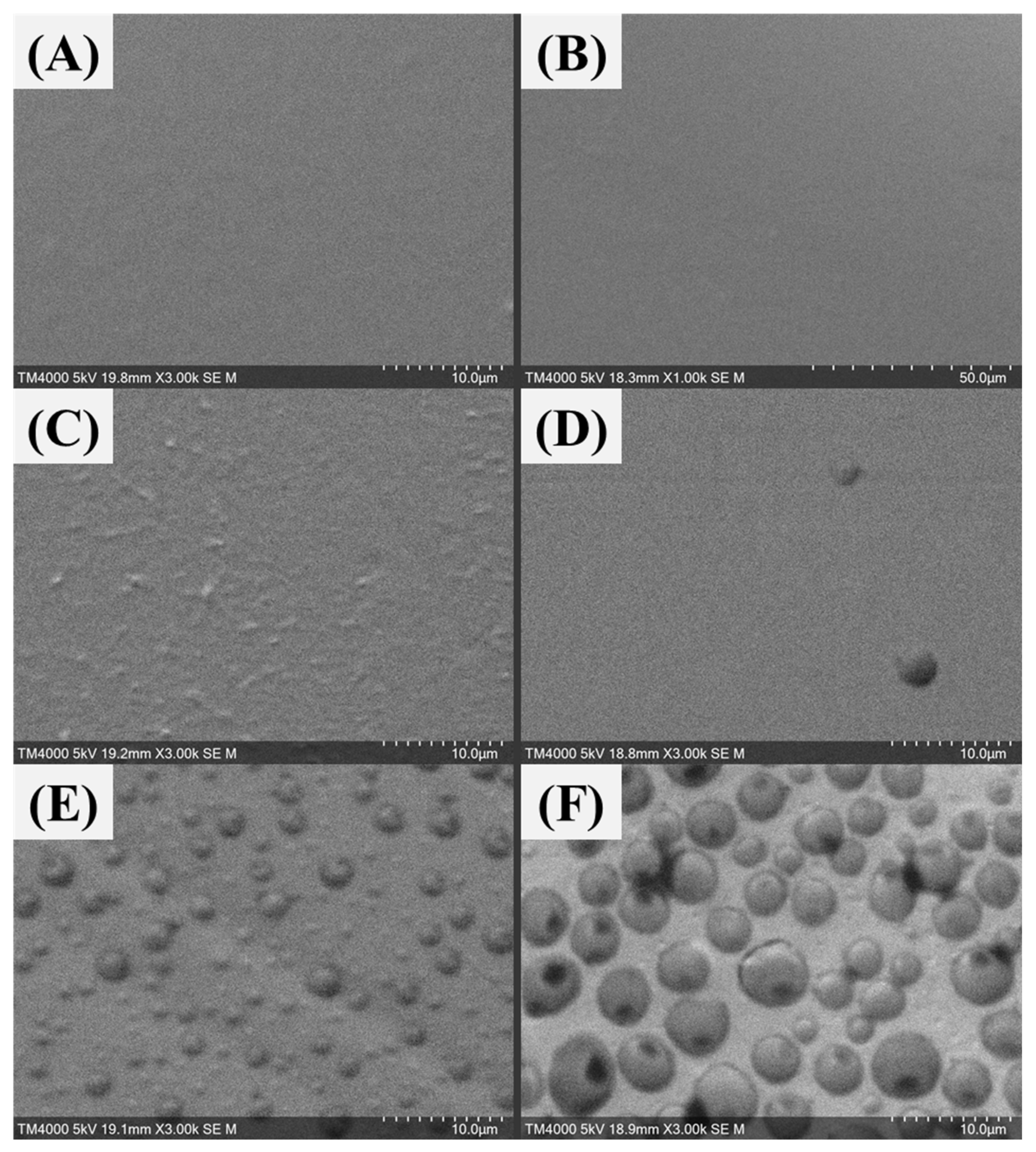 Sustainability 13 13367 g015