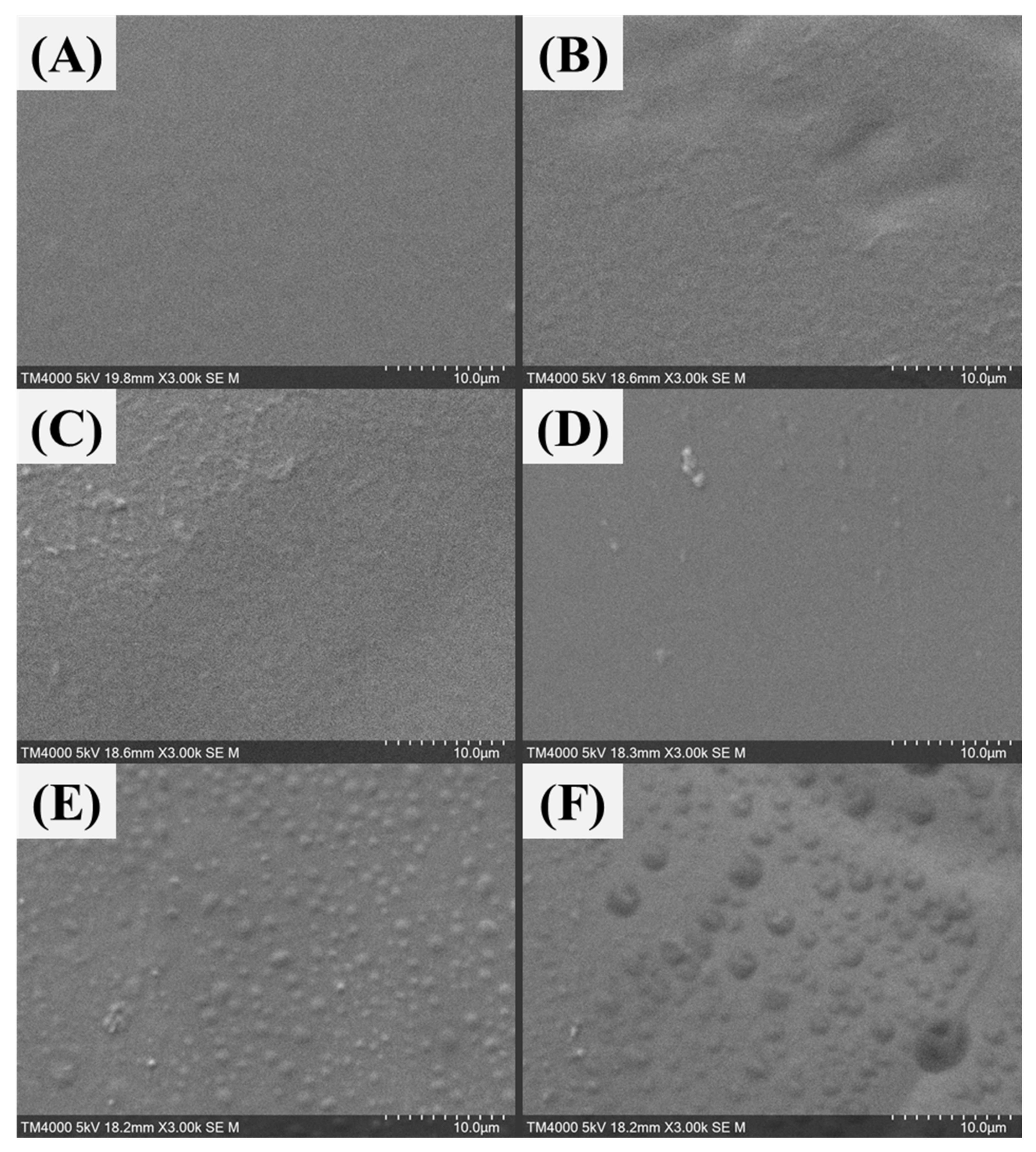 Sustainability 13 13367 g016