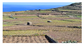 Sustainability 13 13371 i001