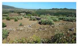 Sustainability 13 13371 i007