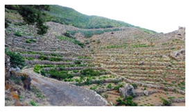 Sustainability 13 13371 i008