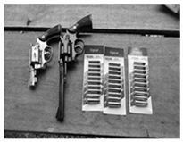 Sustainability 13 13410 i003