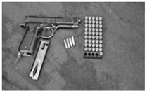 Sustainability 13 13410 i004