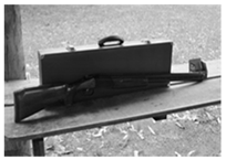 Sustainability 13 13410 i005