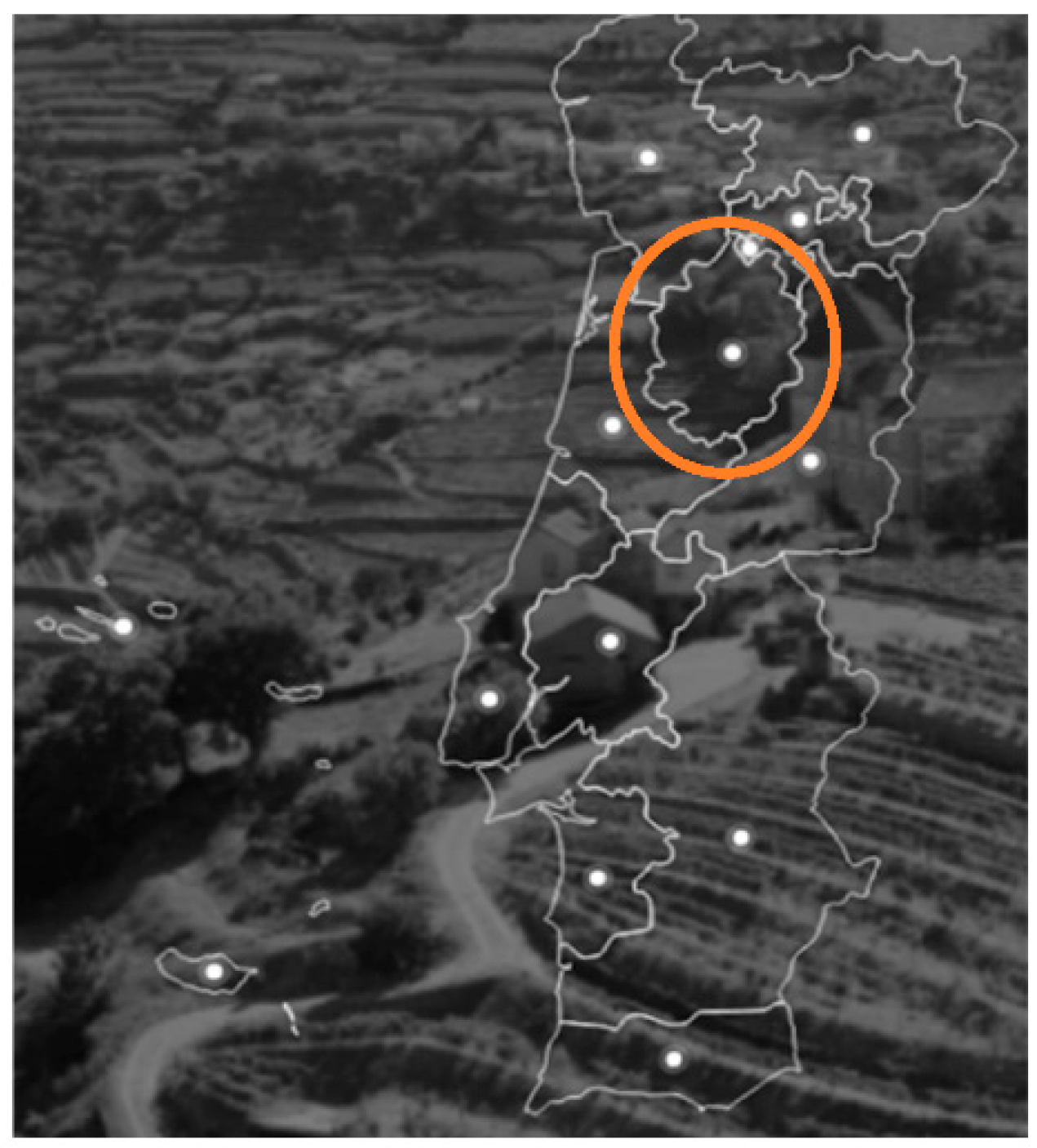 Sustainability 13 13416 g001