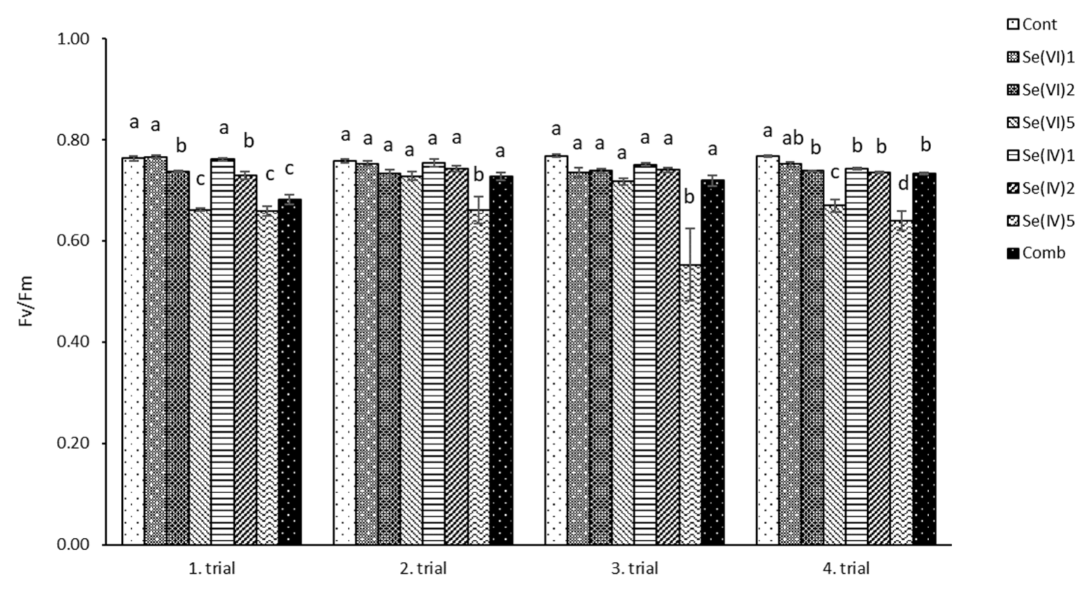 Sustainability 13 13423 g002