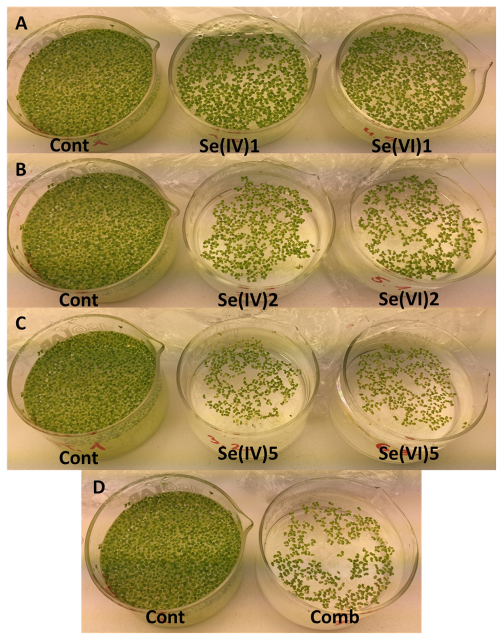 Sustainability 13 13423 g007