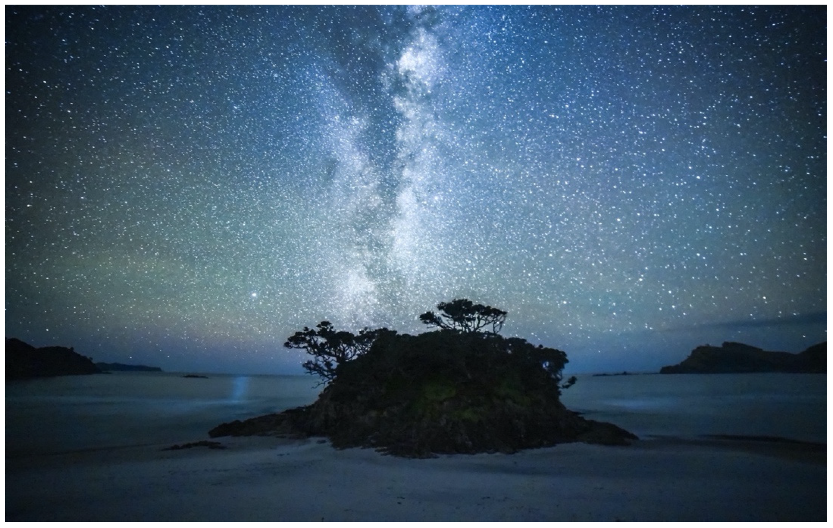 Sustainability 13 13472 g002