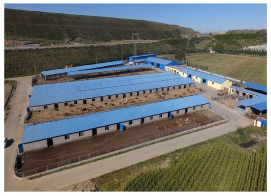 Sustainability 13 13473 g0a2 550