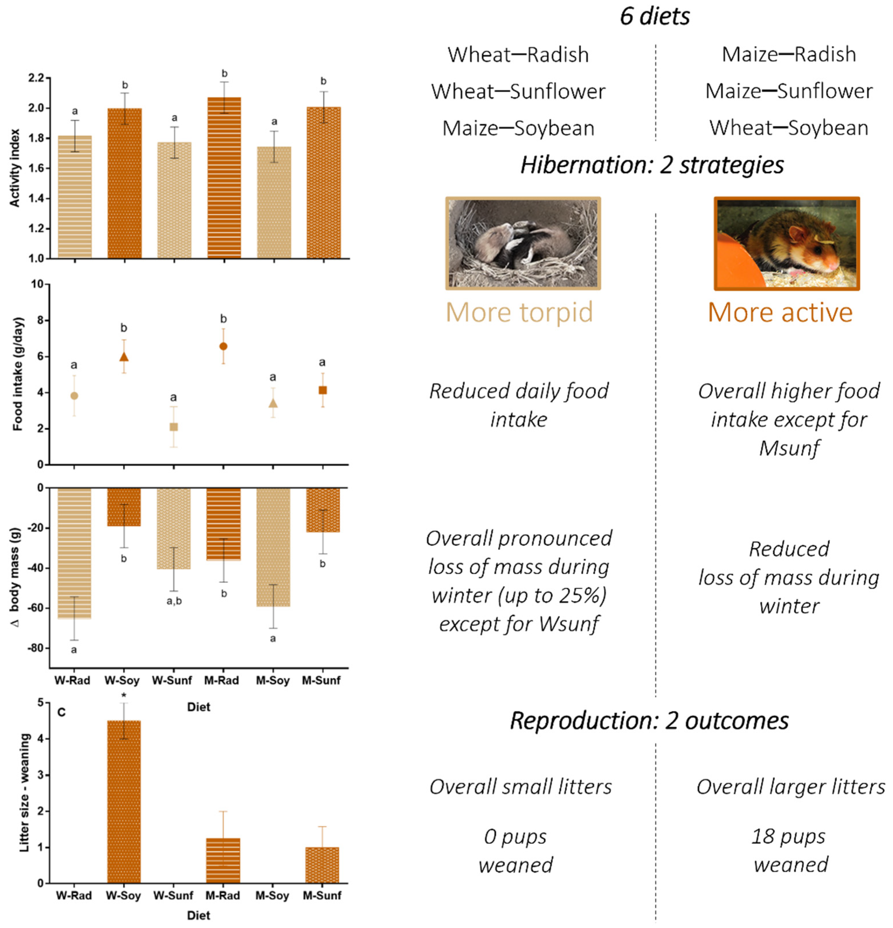 Sustainability 13 13521 g005 Sustainability 13 13521 g005