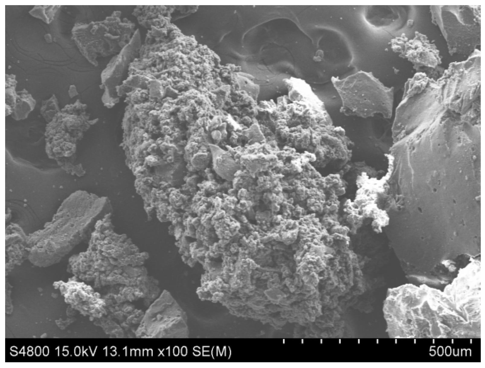 Sustainability 13 13536 g007