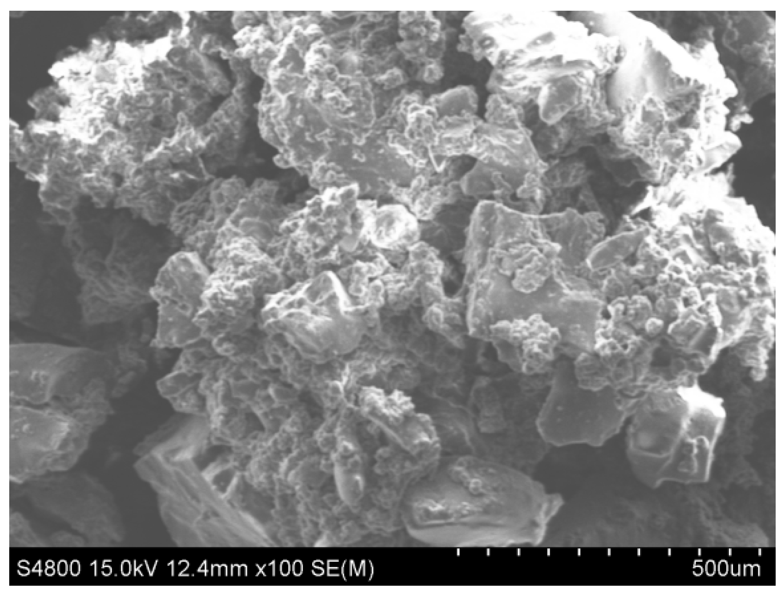 Sustainability 13 13536 g008