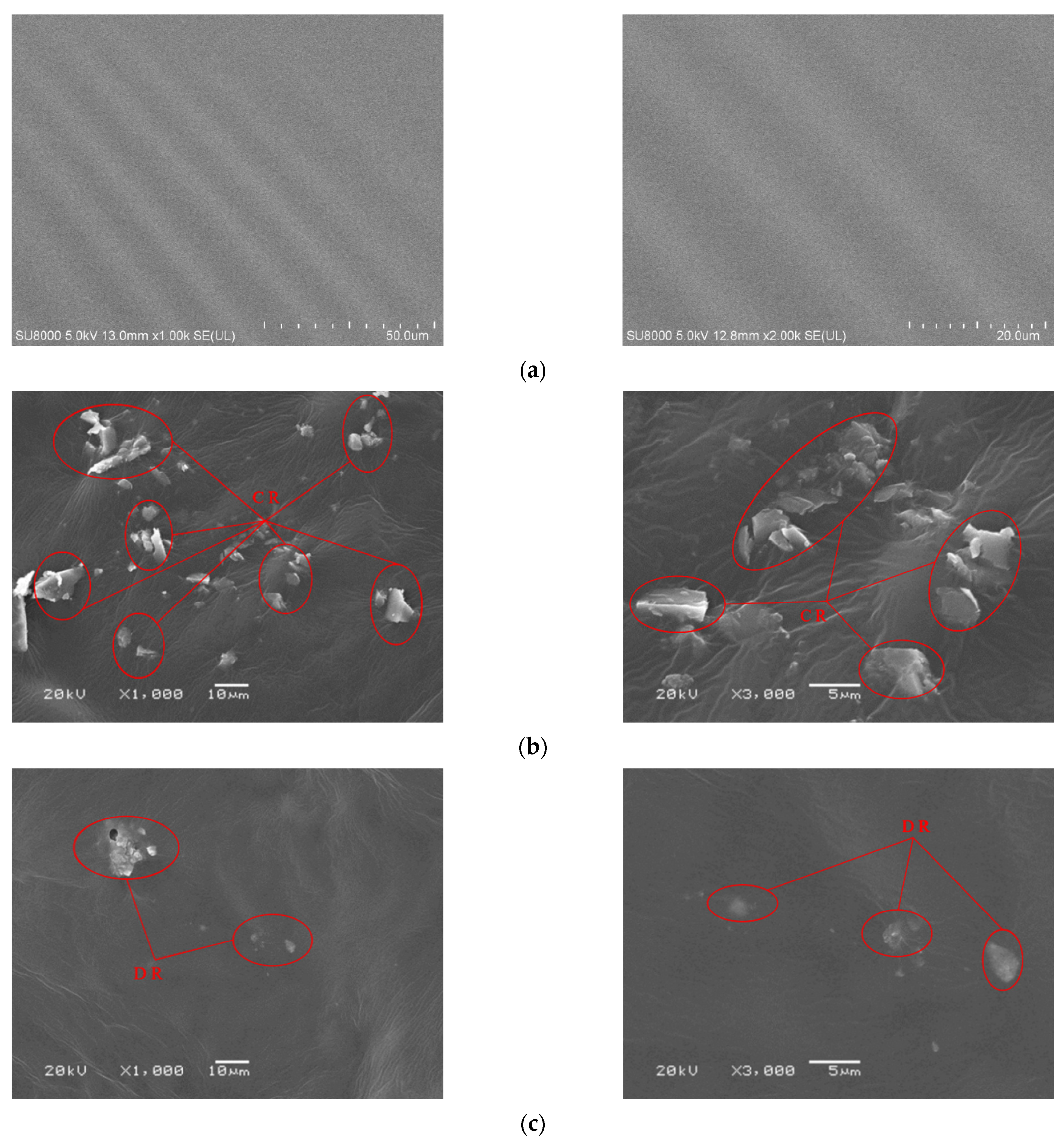 Sustainability 13 13536 g009