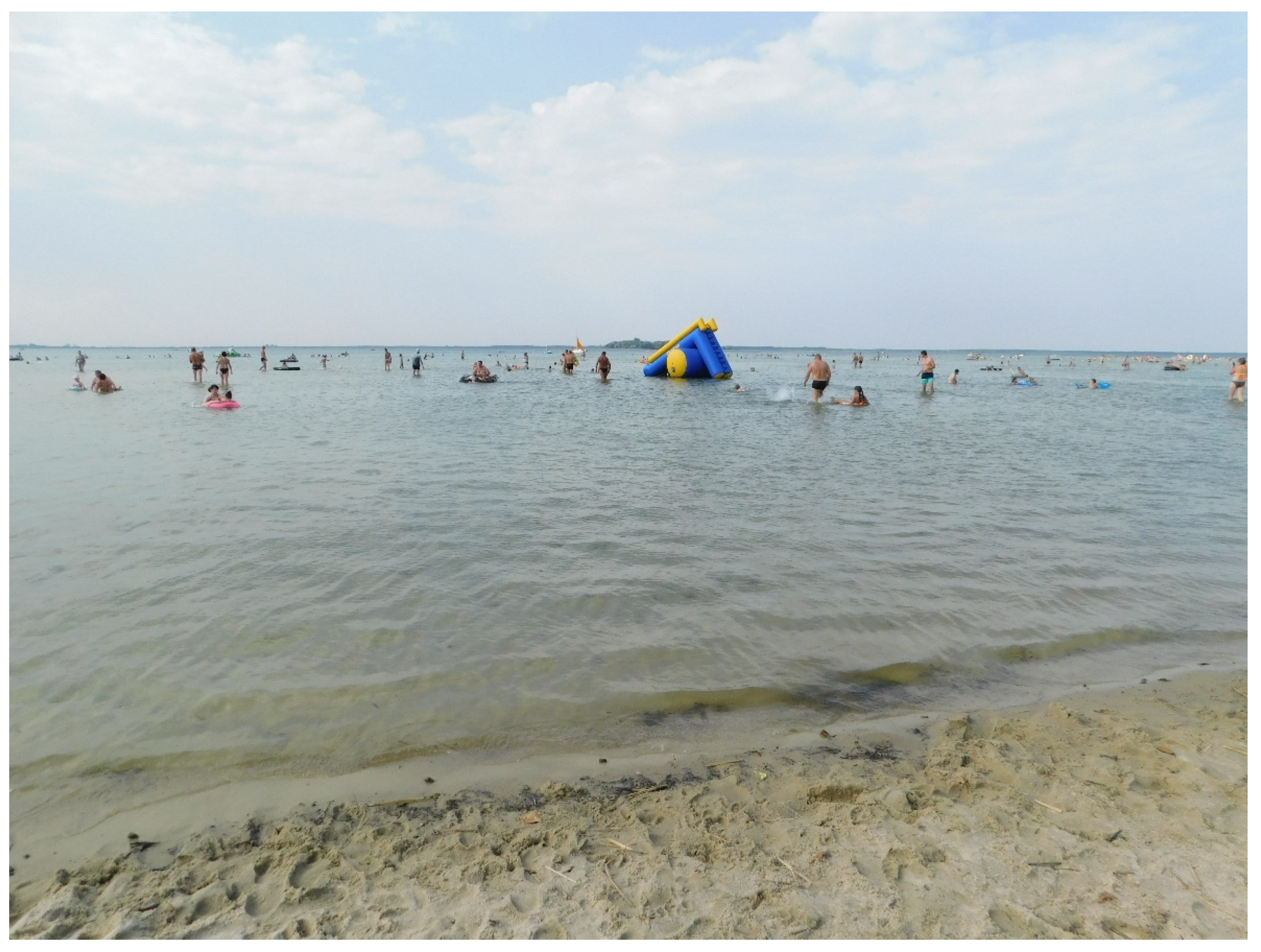 Sustainability 13 13595 g002