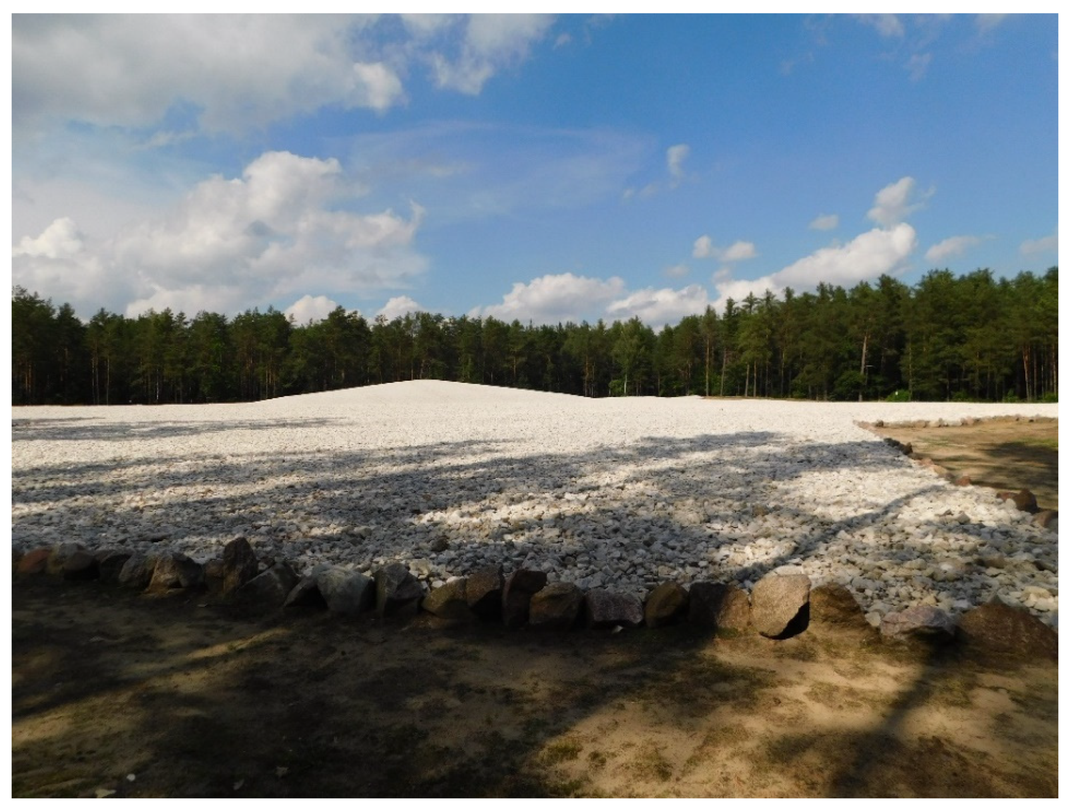 Sustainability 13 13595 g004