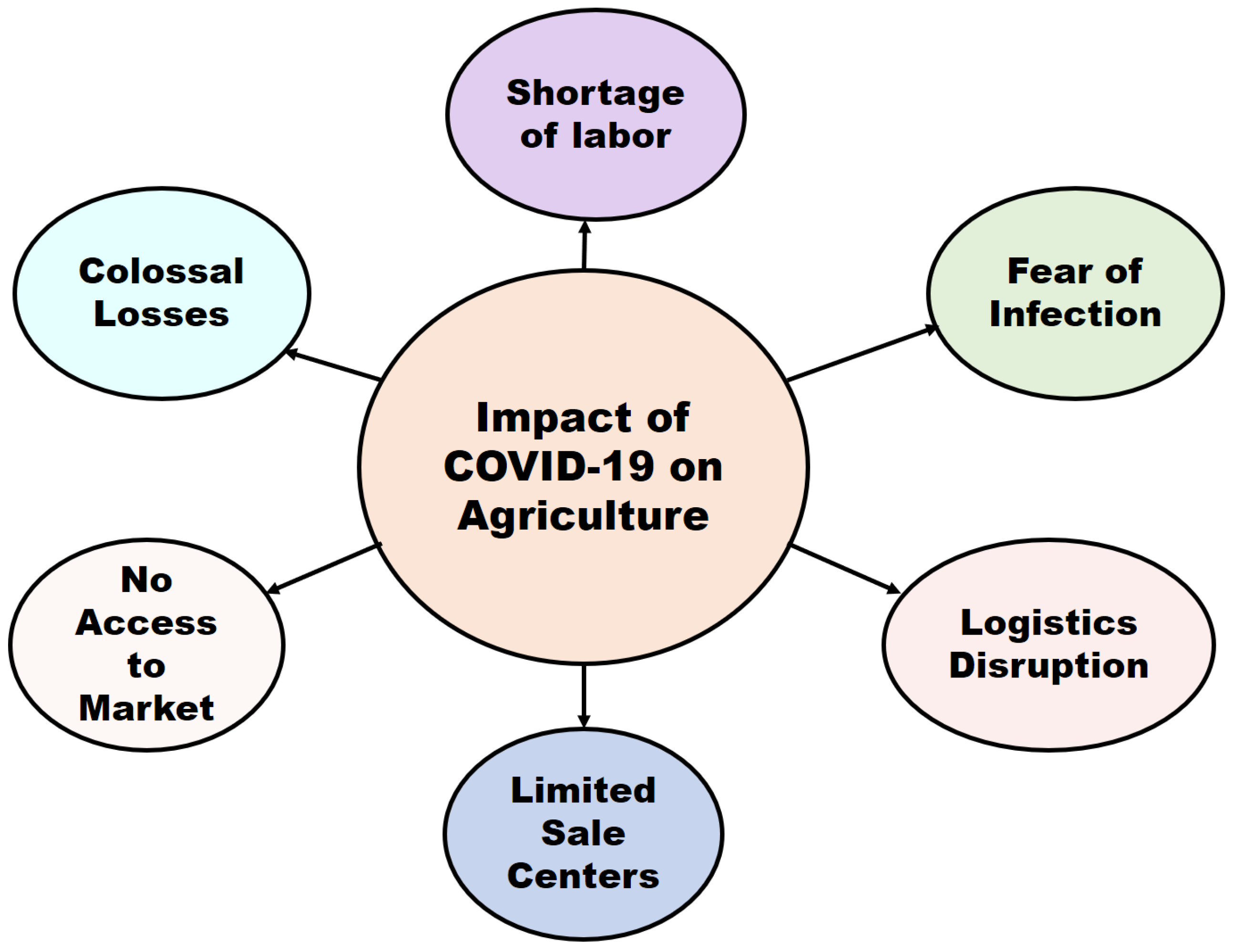 Sustainability 13 13642 g002