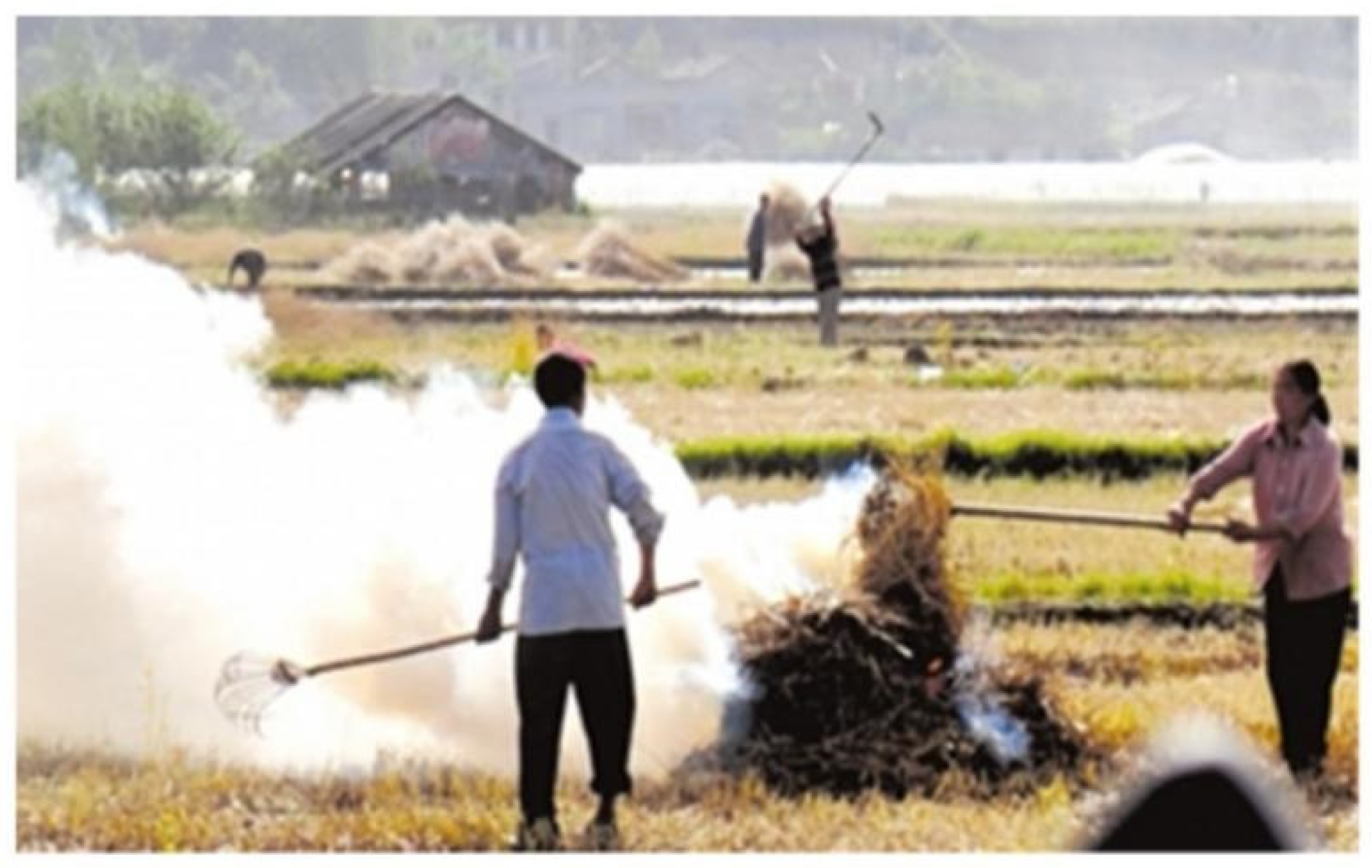 Sustainability 13 13652 g001