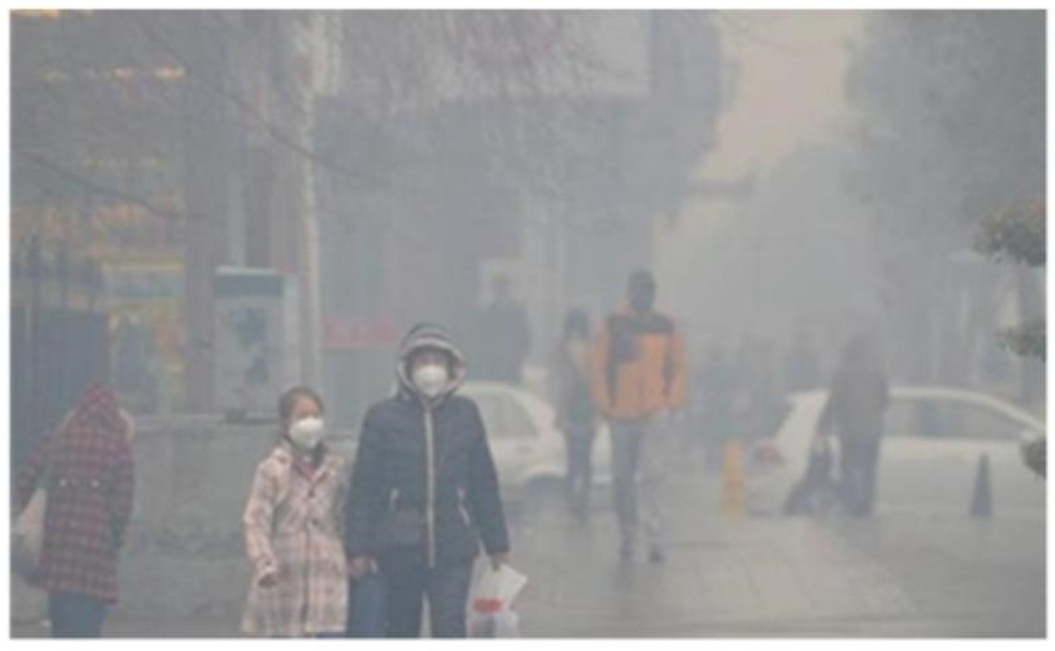 Sustainability 13 13652 g002