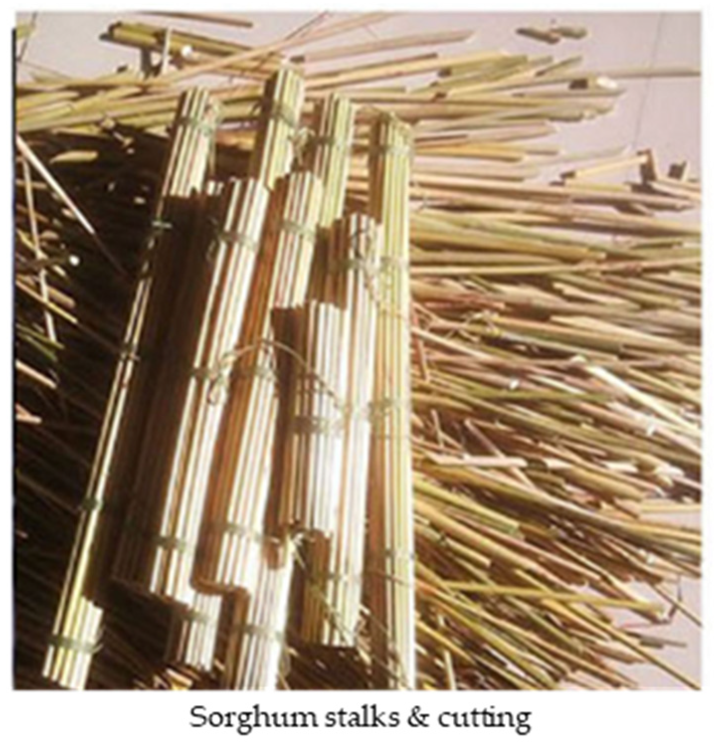 Sustainability 13 13652 g010