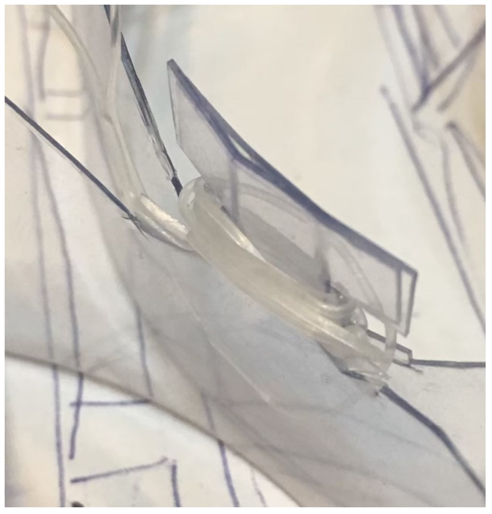 Sustainability 13 13731 g002