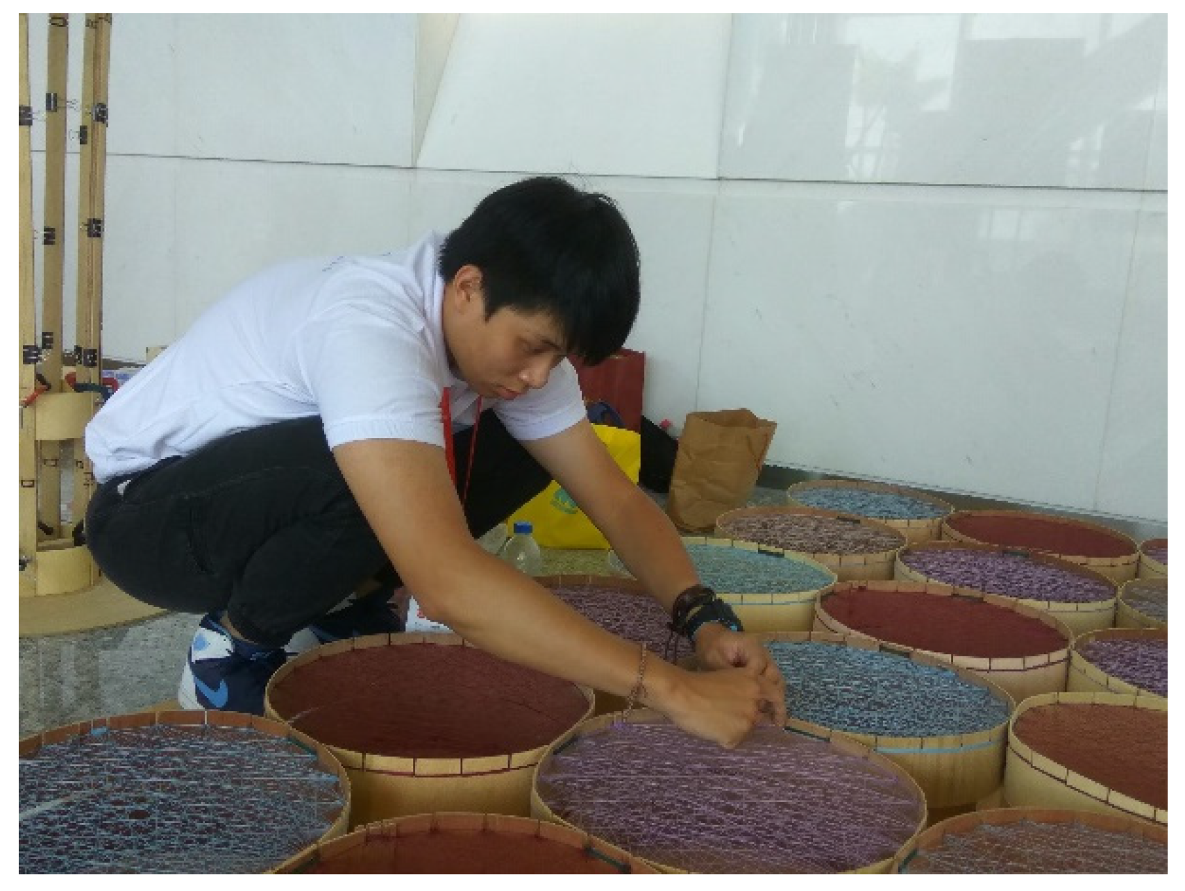 Sustainability 13 13731 g010