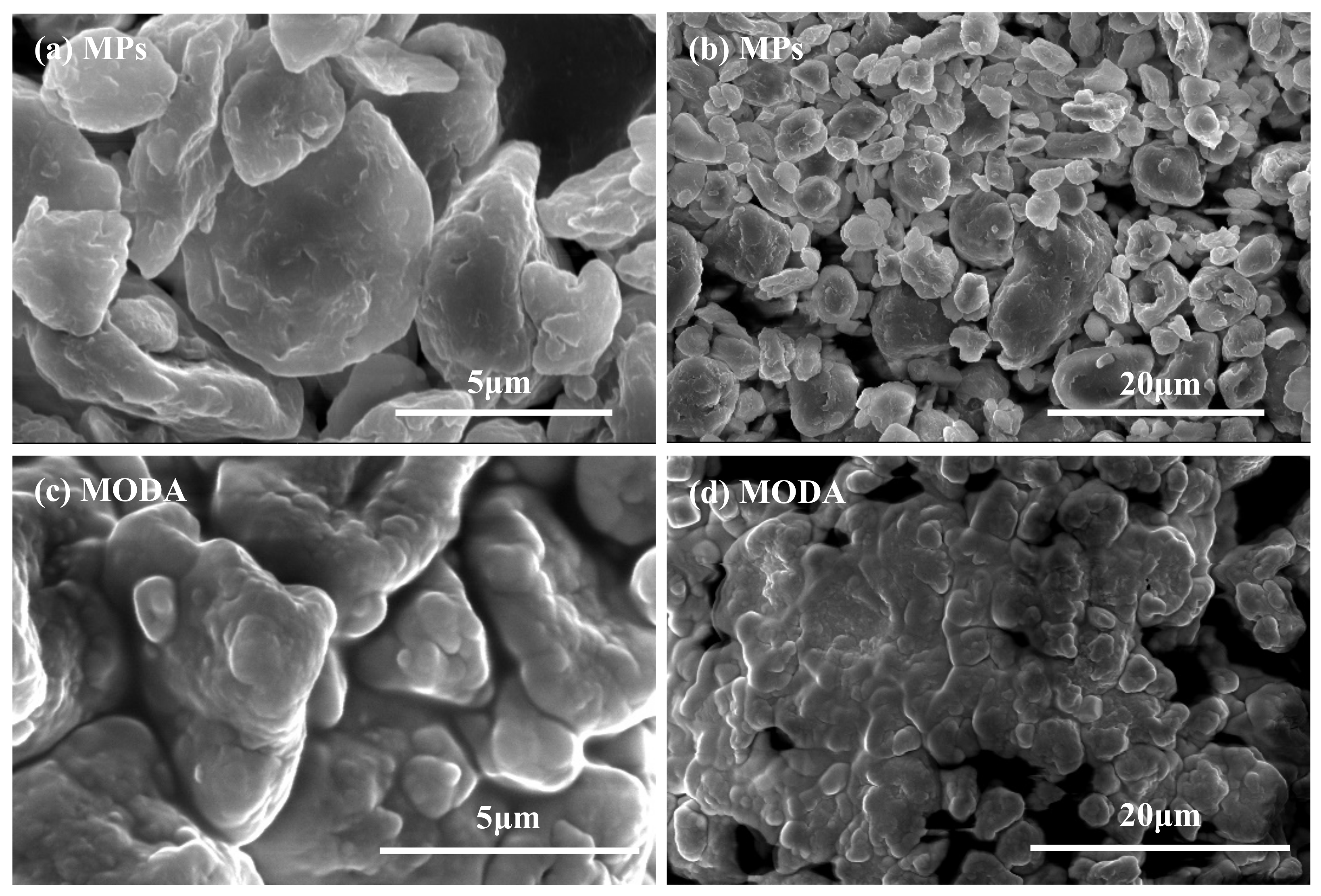 Sustainability 13 13752 g002