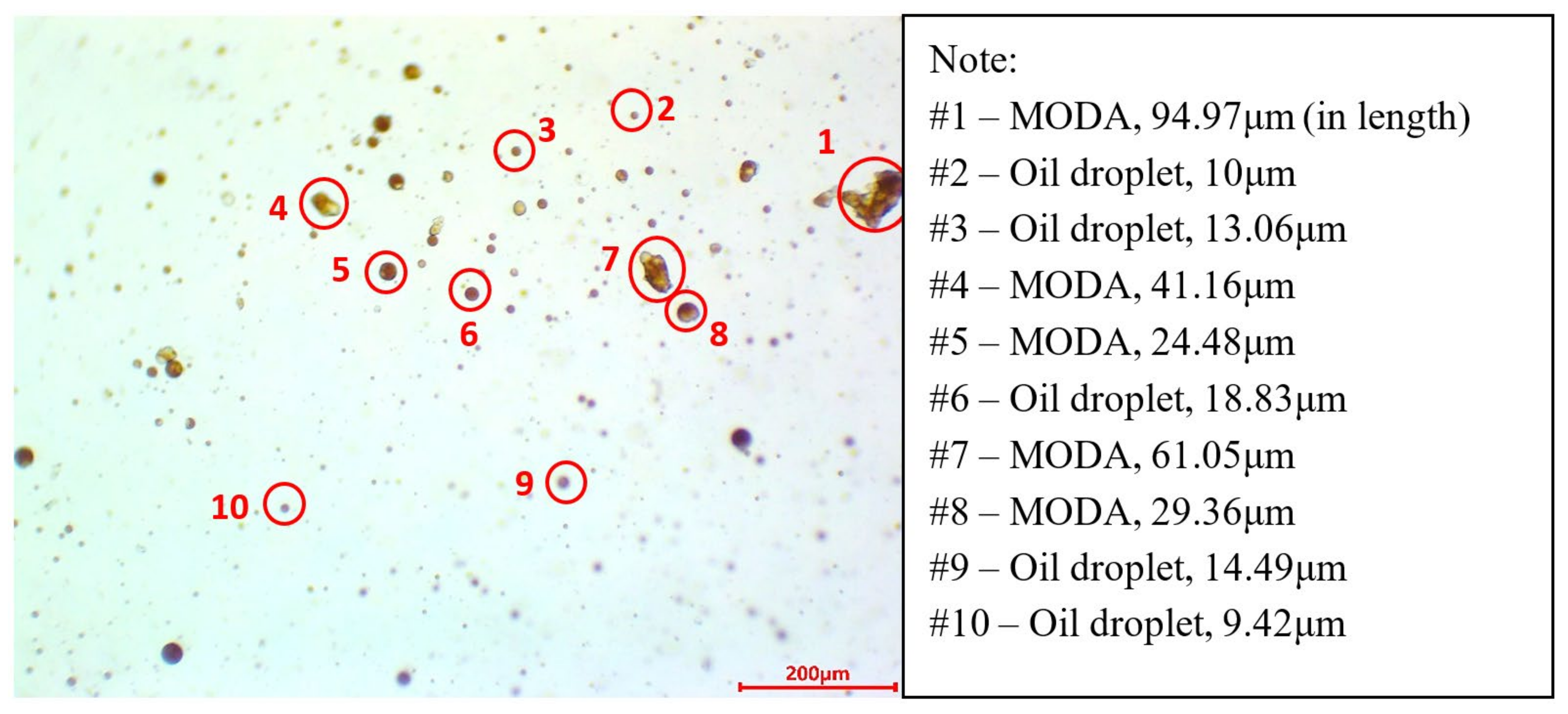 Sustainability 13 13752 g004