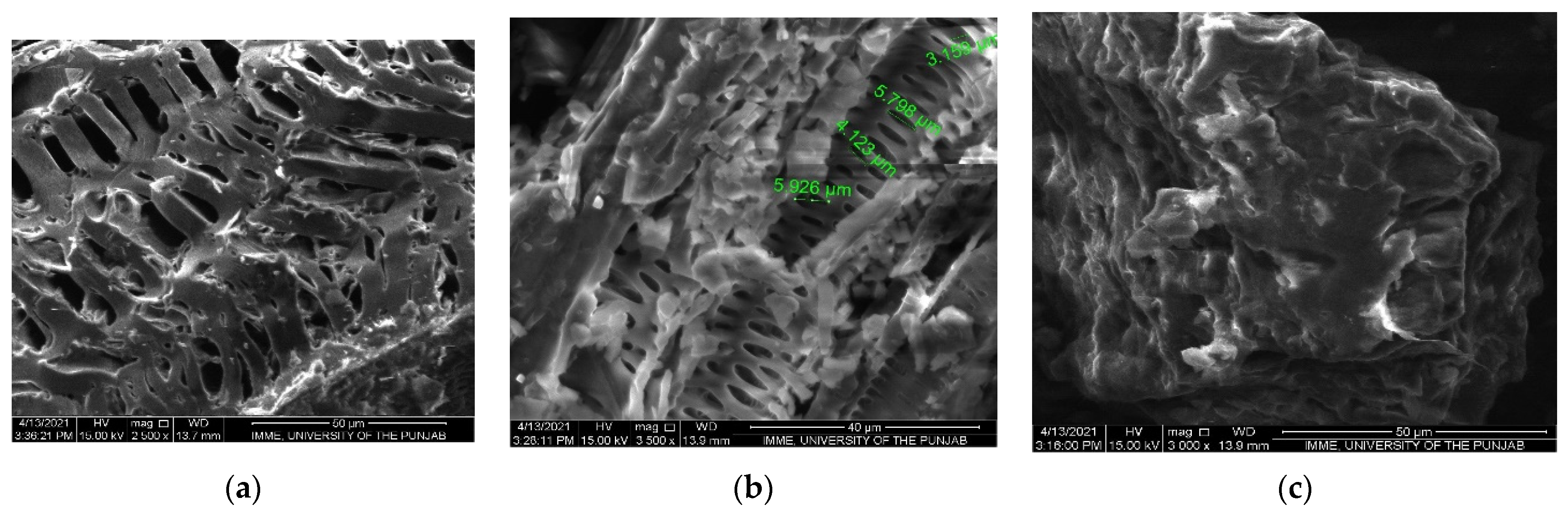 Sustainability 13 13796 g002