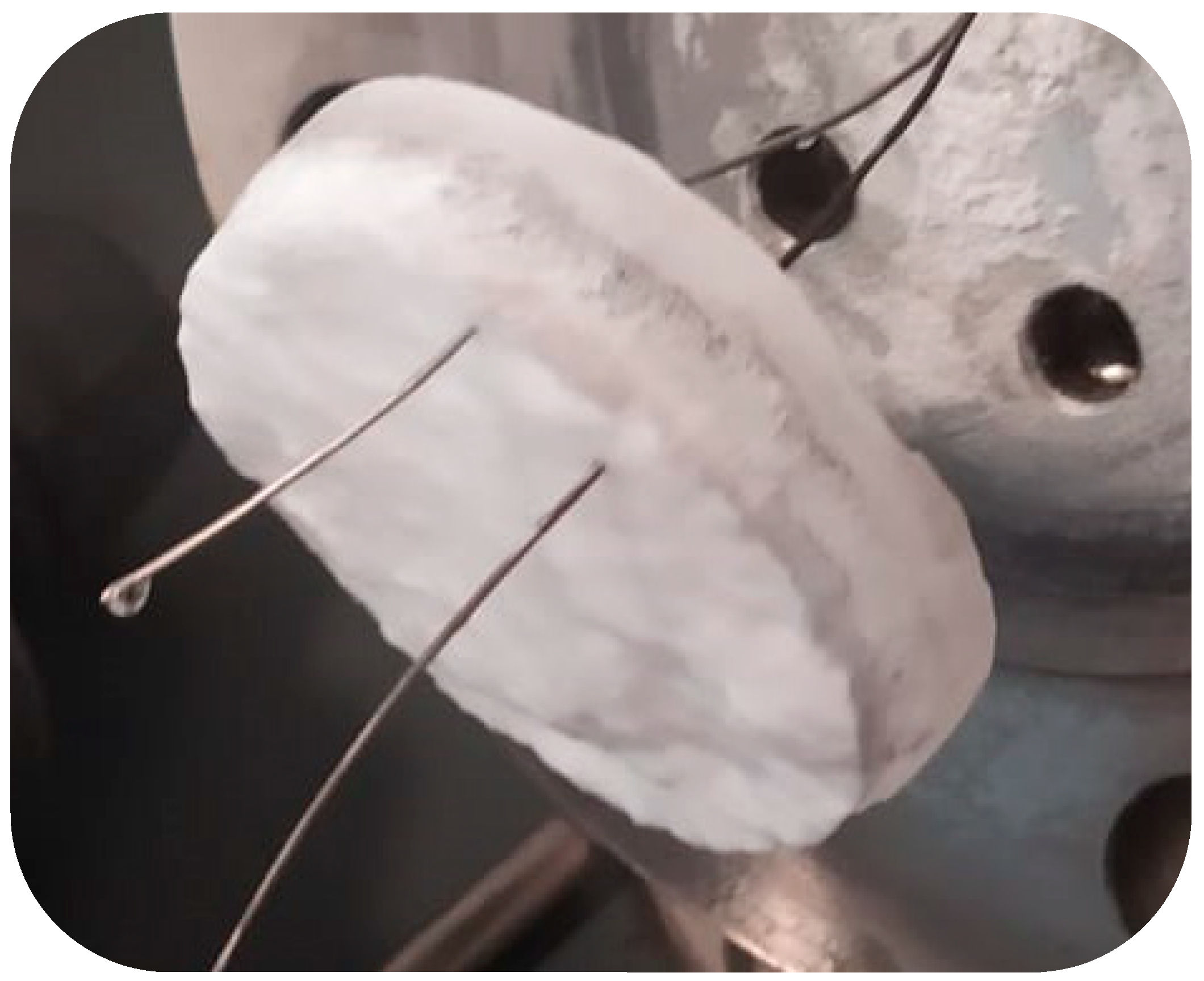 Sustainability 13 13797 g004