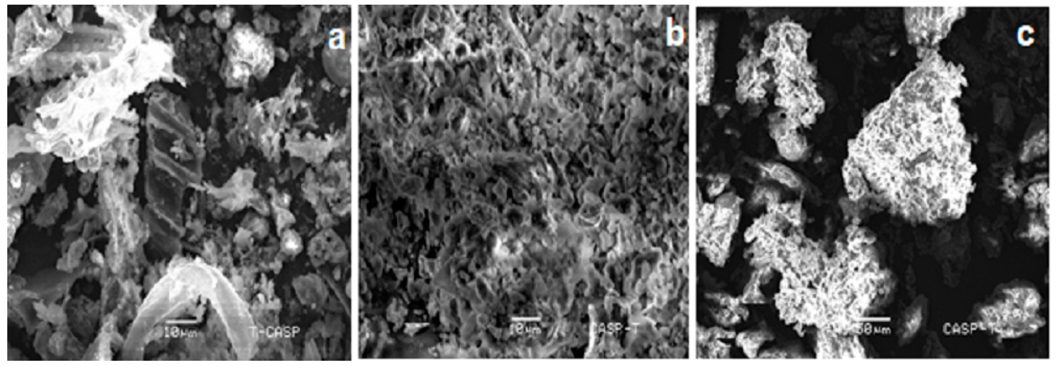 Sustainability 13 13842 g002