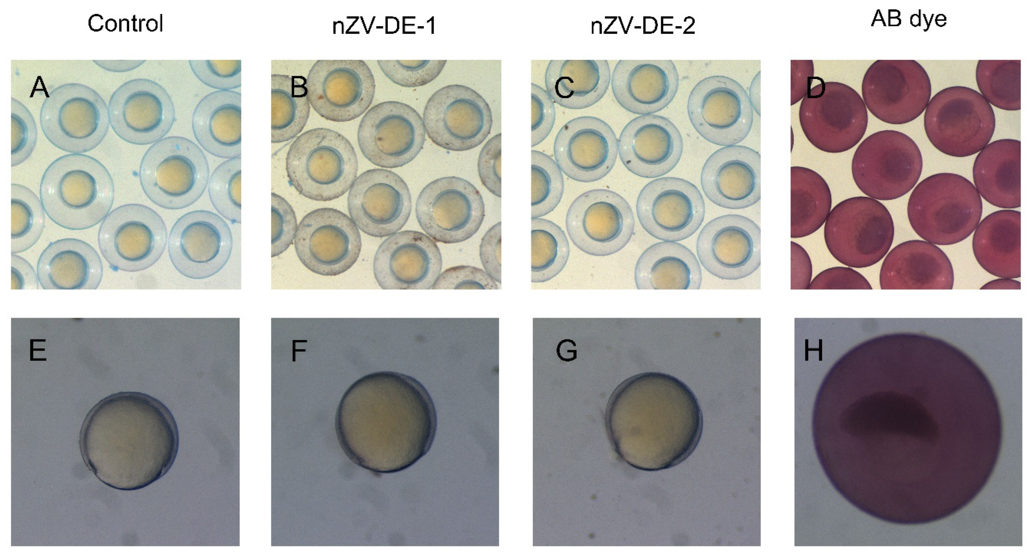Sustainability 13 13899 g004