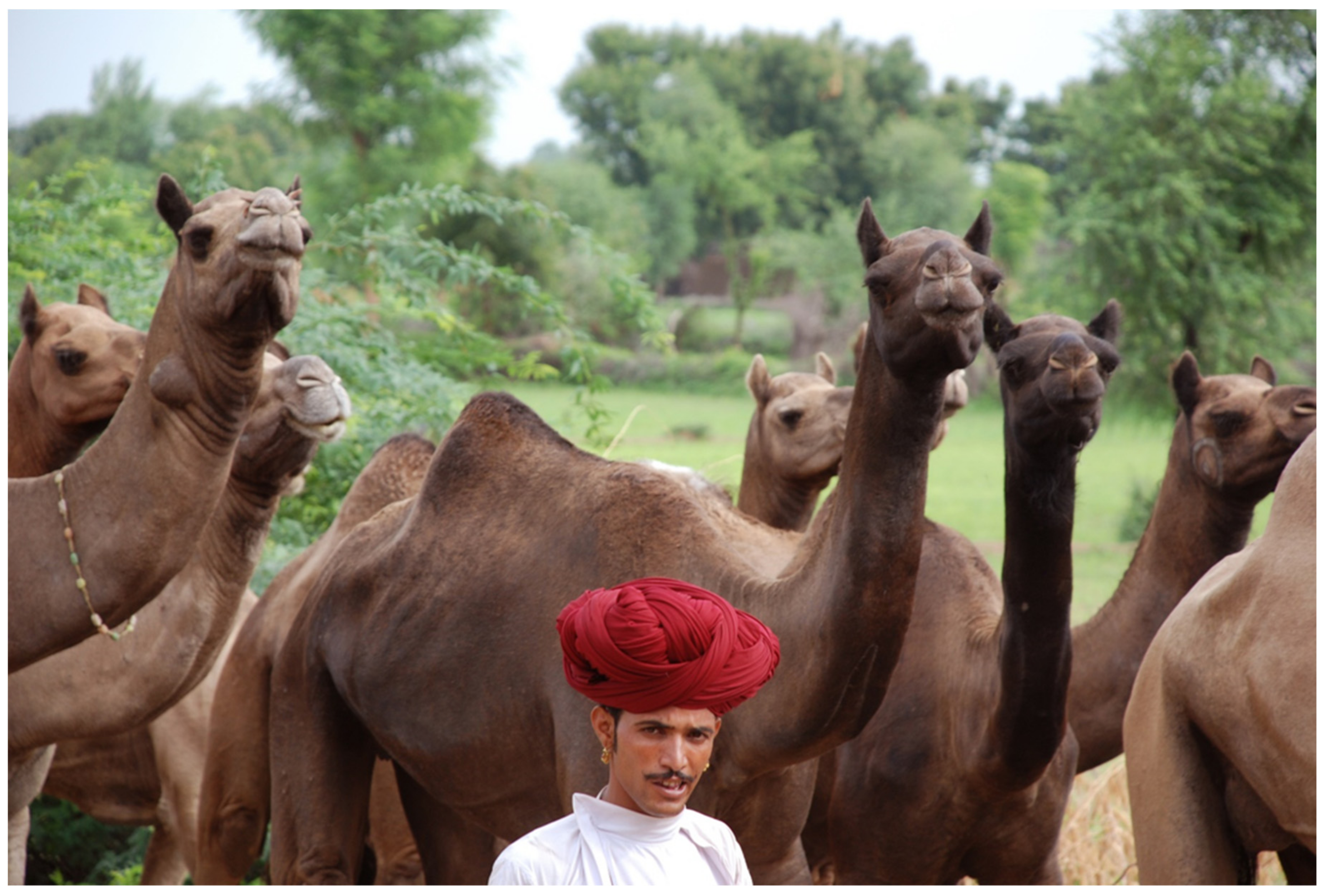 Sustainability 13 13914 g003