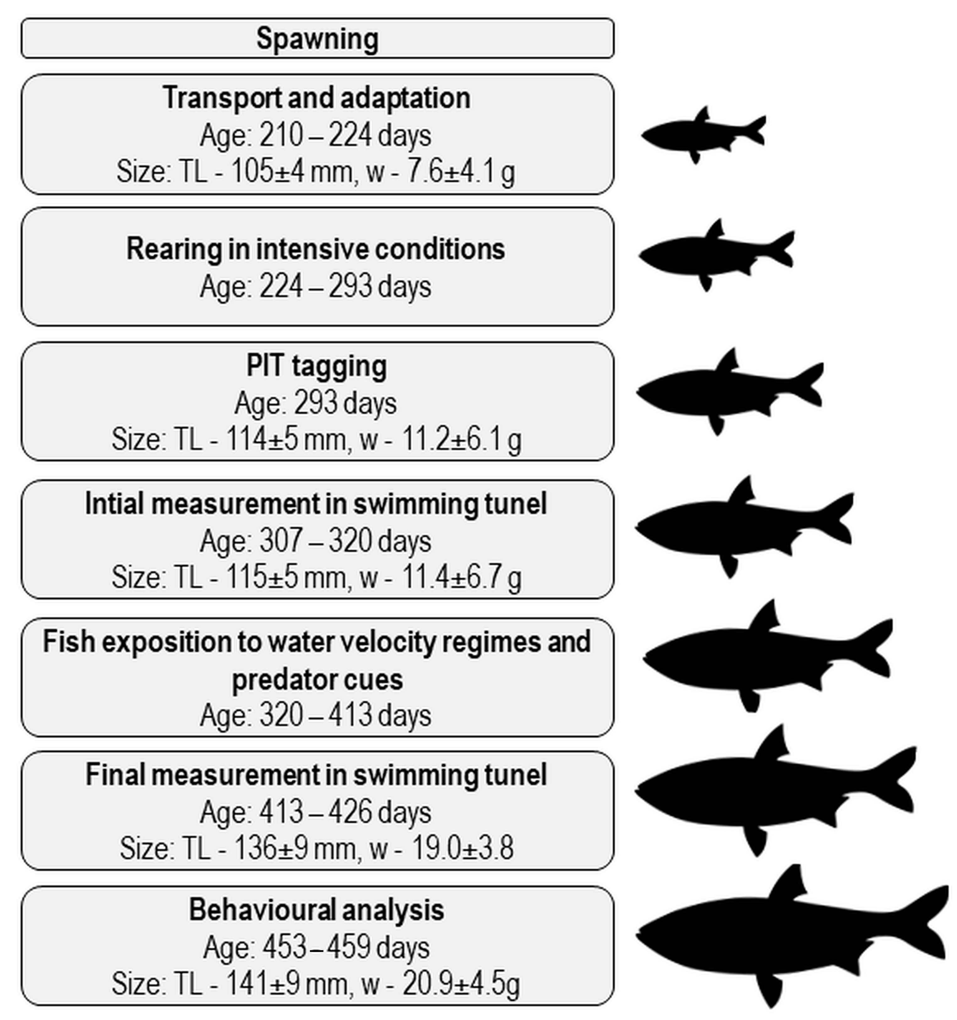 Sustainability 13 13936 g003