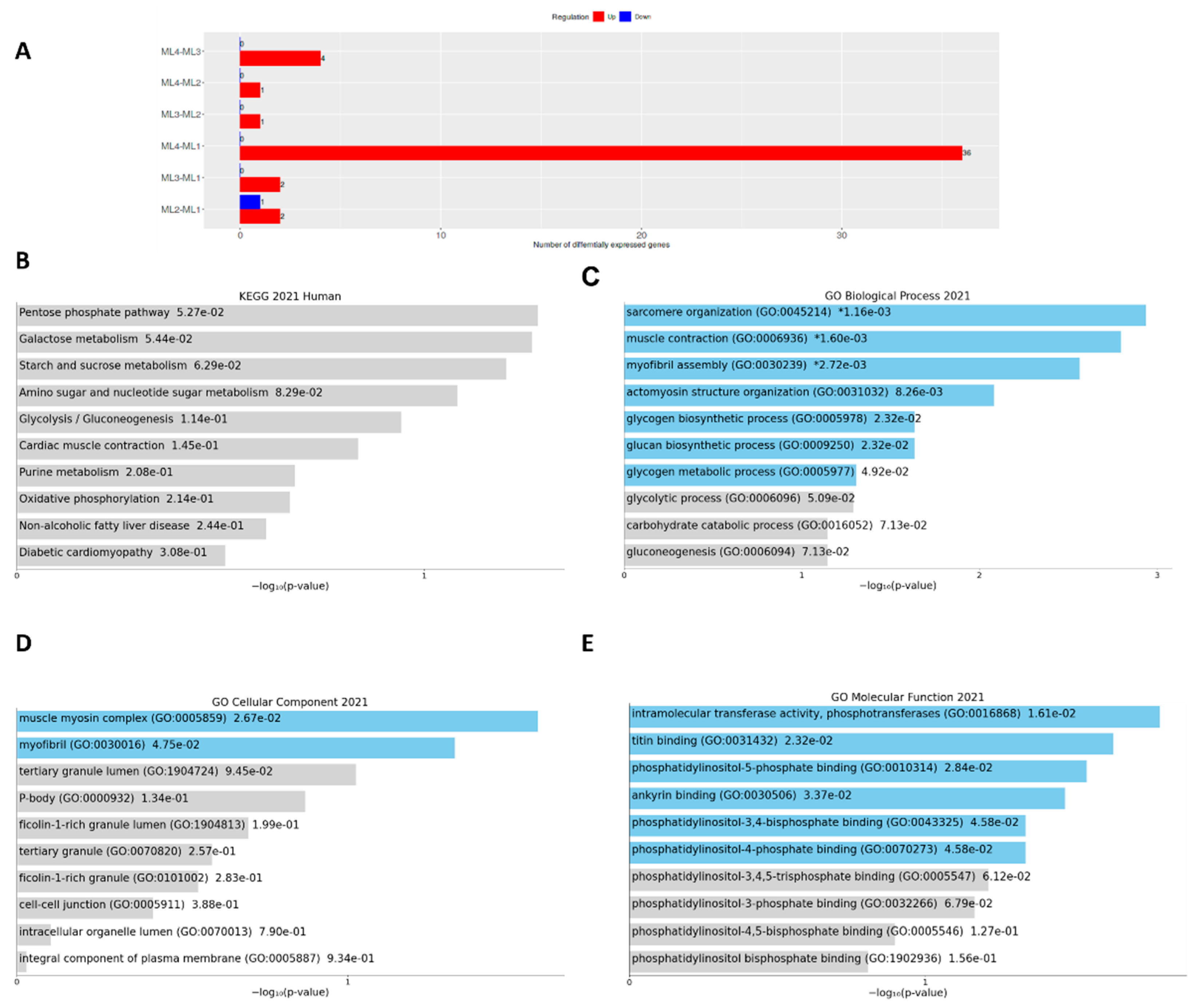 Sustainability 13 13997 g005