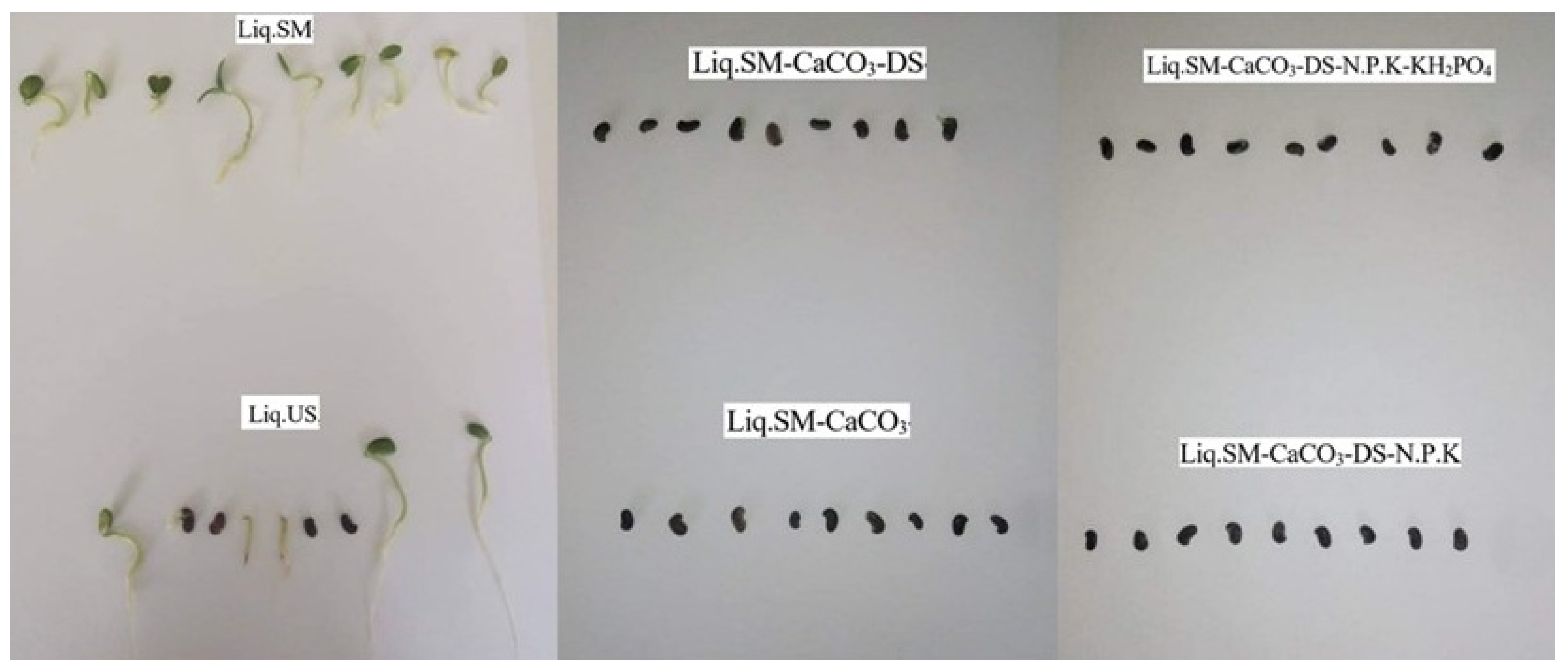 Sustainability 13 14021 g001