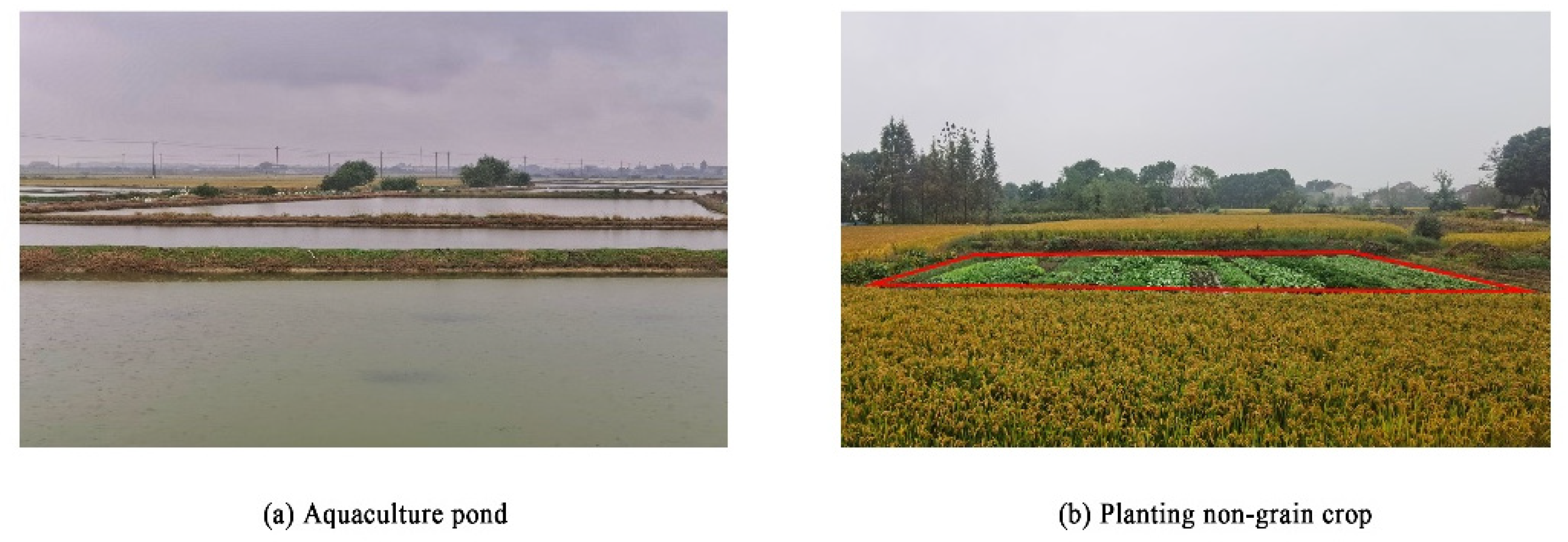 Sustainability 13 14047 g002