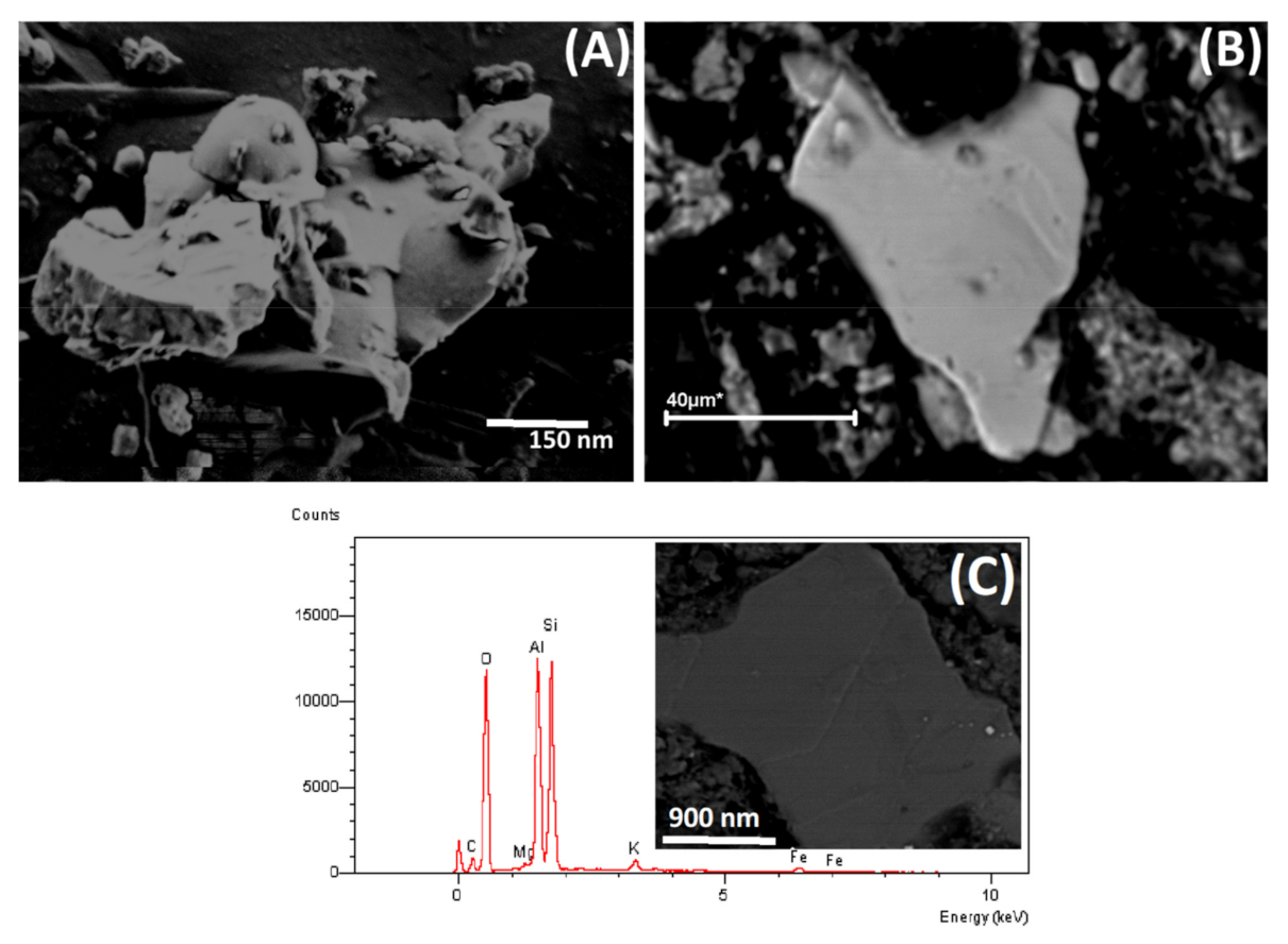 Sustainability 13 14071 g003