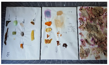 Sustainability 13 14072 i004