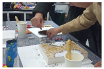 Sustainability 13 14072 i005