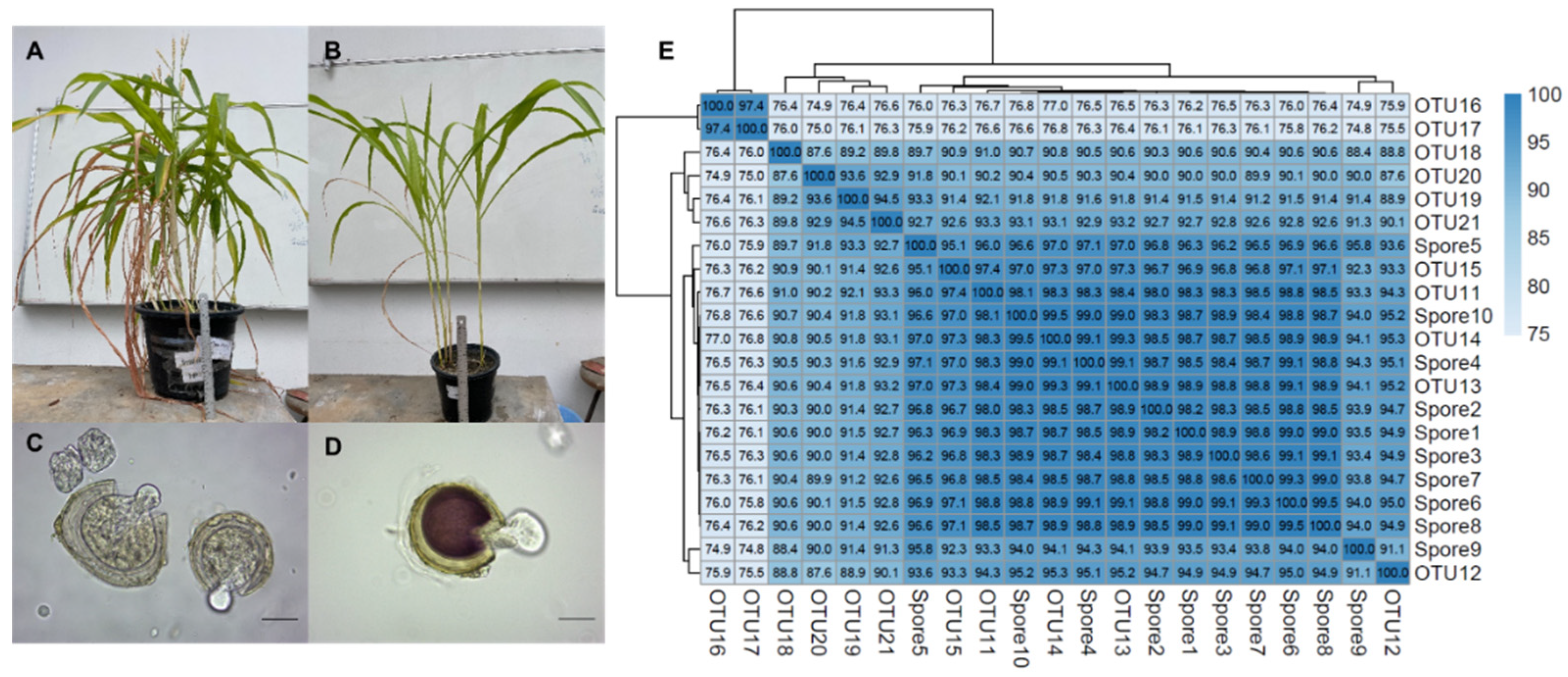 Sustainability 14 00031 g002