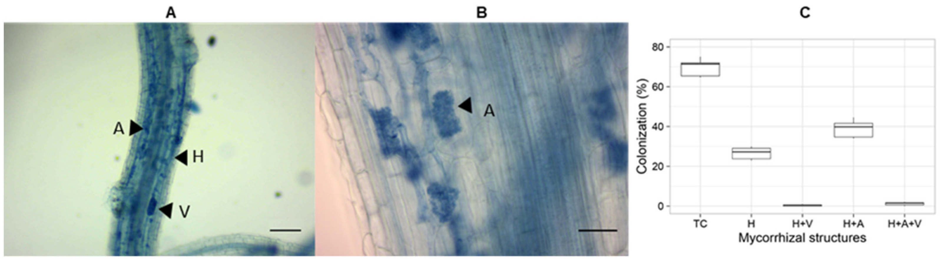 Sustainability 14 00031 g003