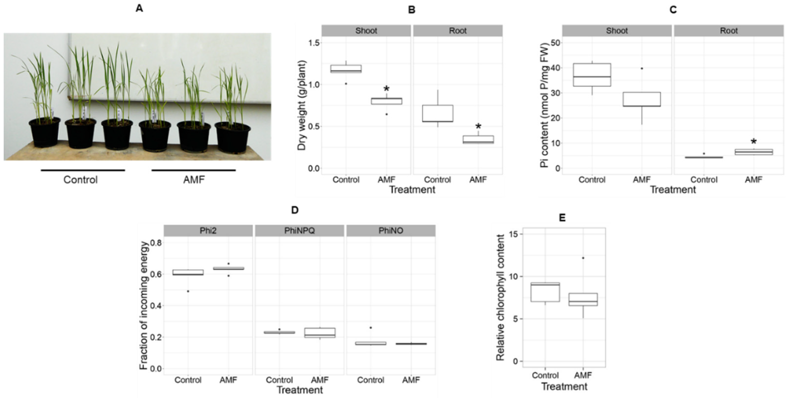 Sustainability 14 00031 g004