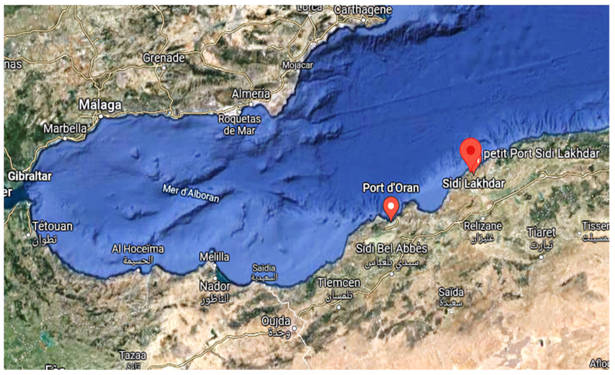 Sustainability 14 00102 g001 Sustainability 14 00102 g001